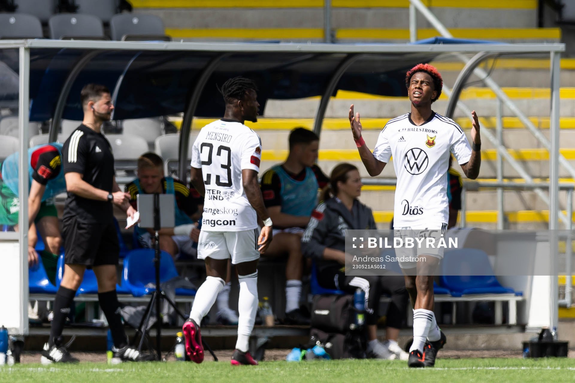 Östersunds Chovanie Amatkarijo jublar