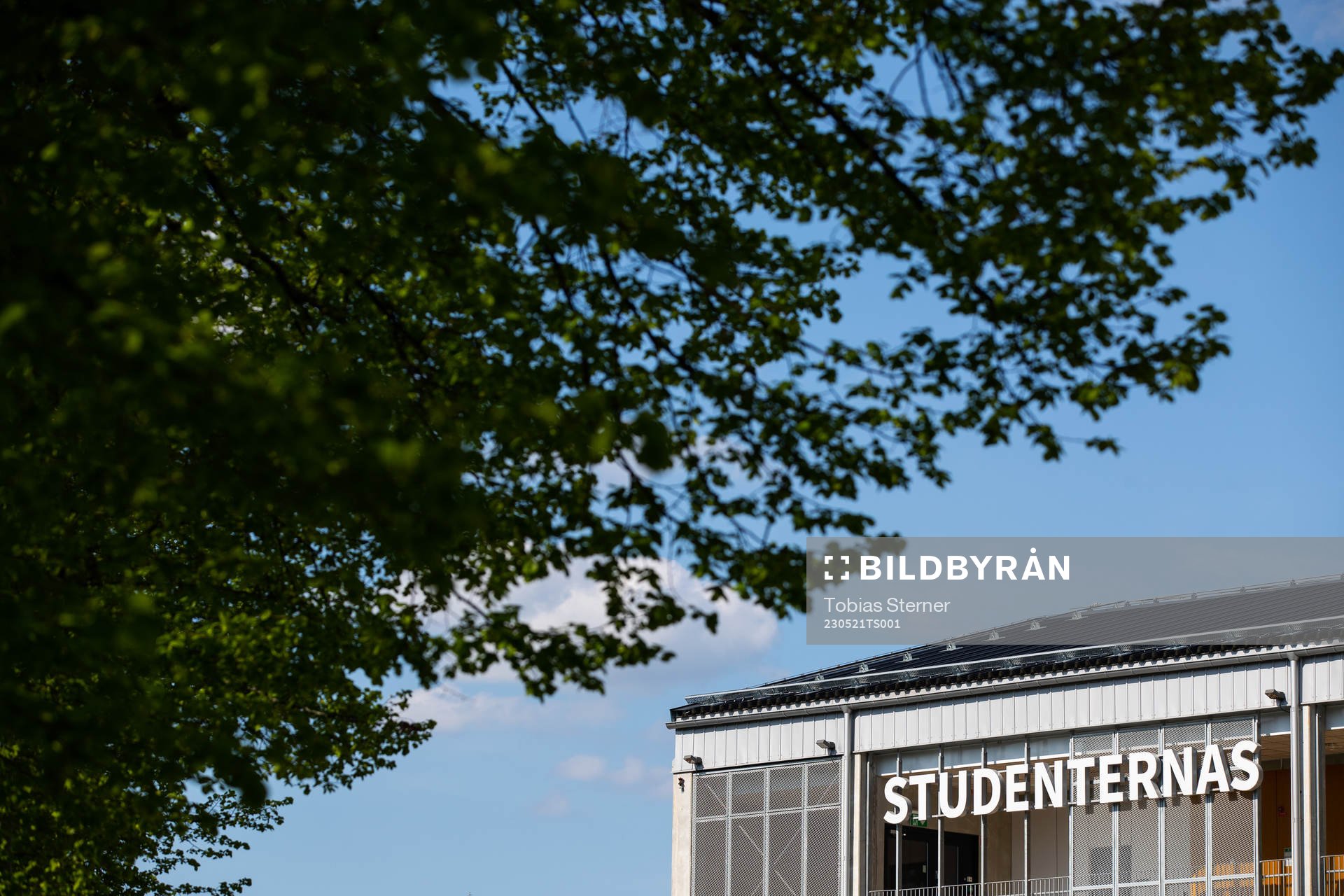 Studenternas