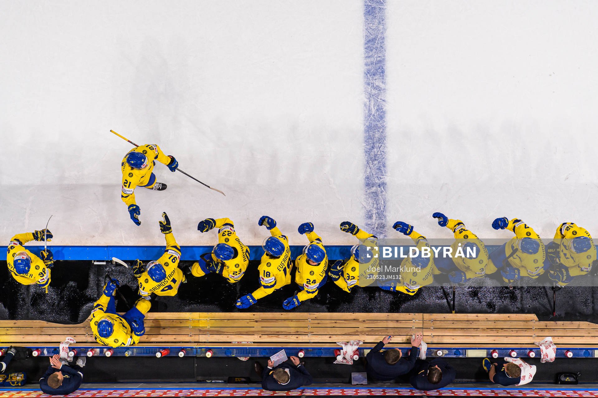 Leo Carlsson of Sweden celebrates with teammates