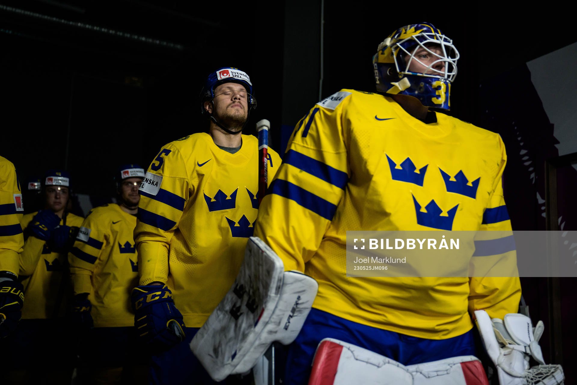 Jacob de la Rose and goaltender Lars Johansson of Sweden