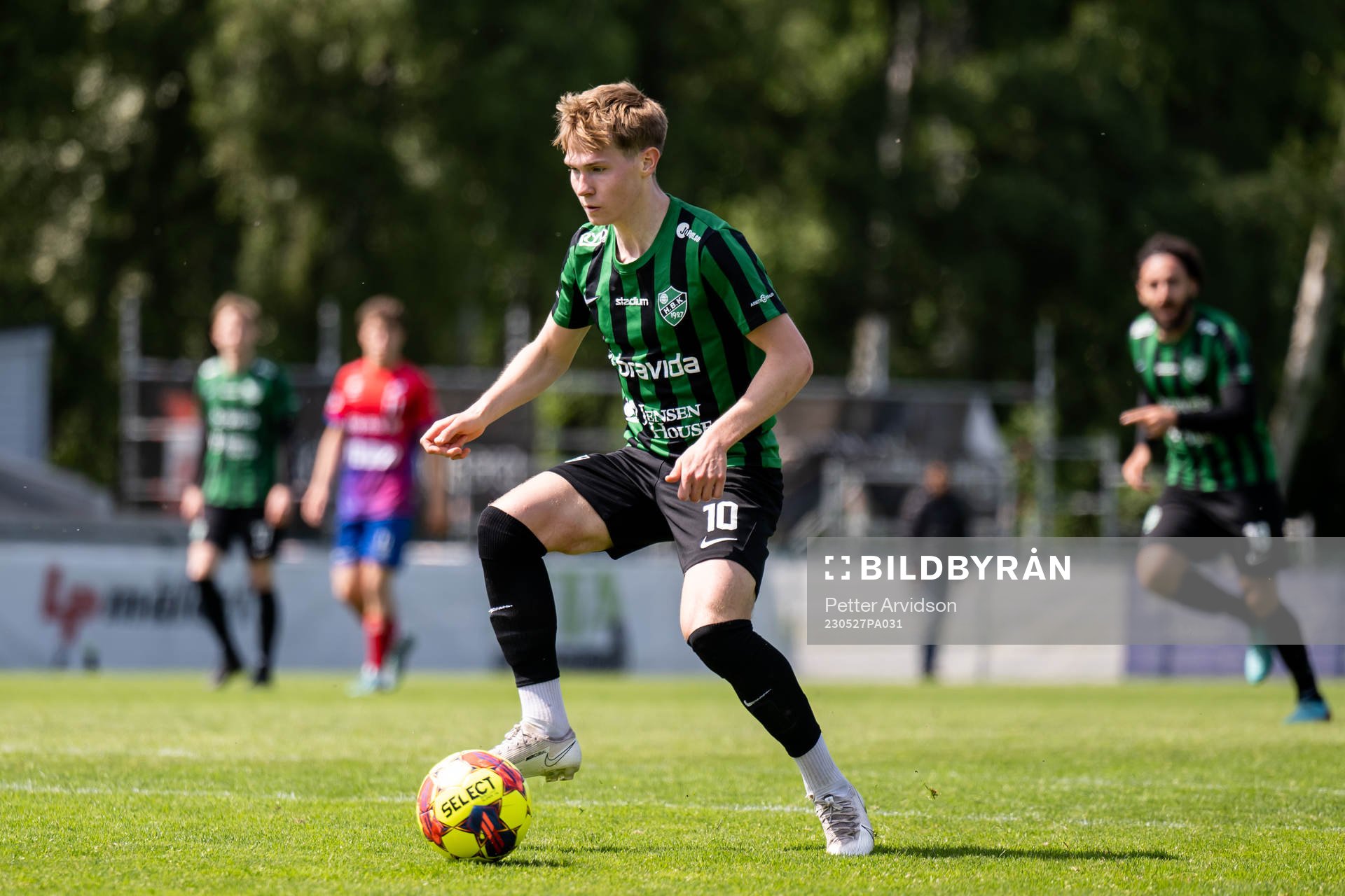 Högaborgs Albin Branting