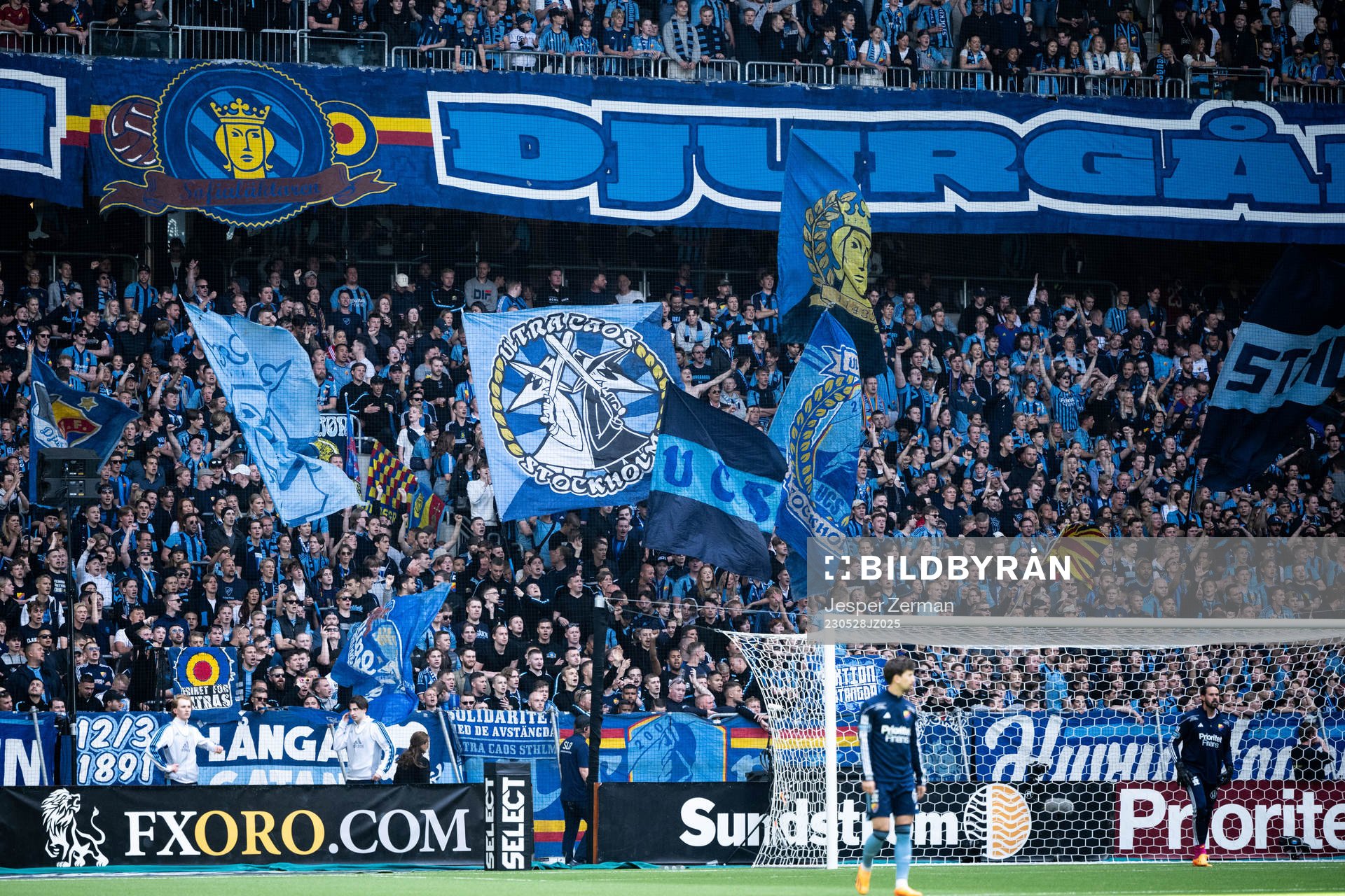 Djurgårdens supportrar