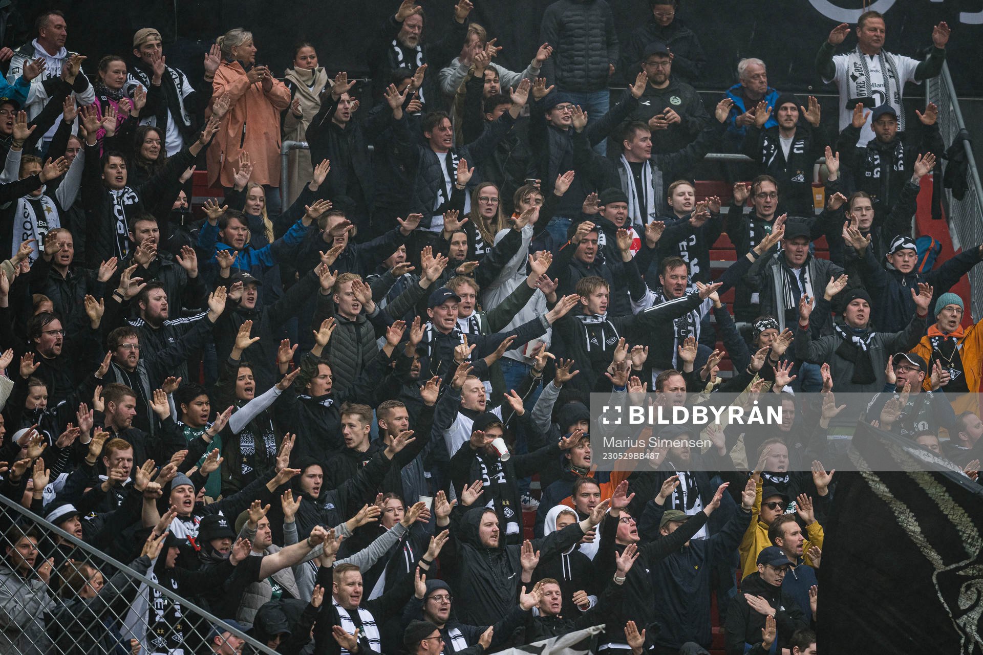 Spectators in the stands