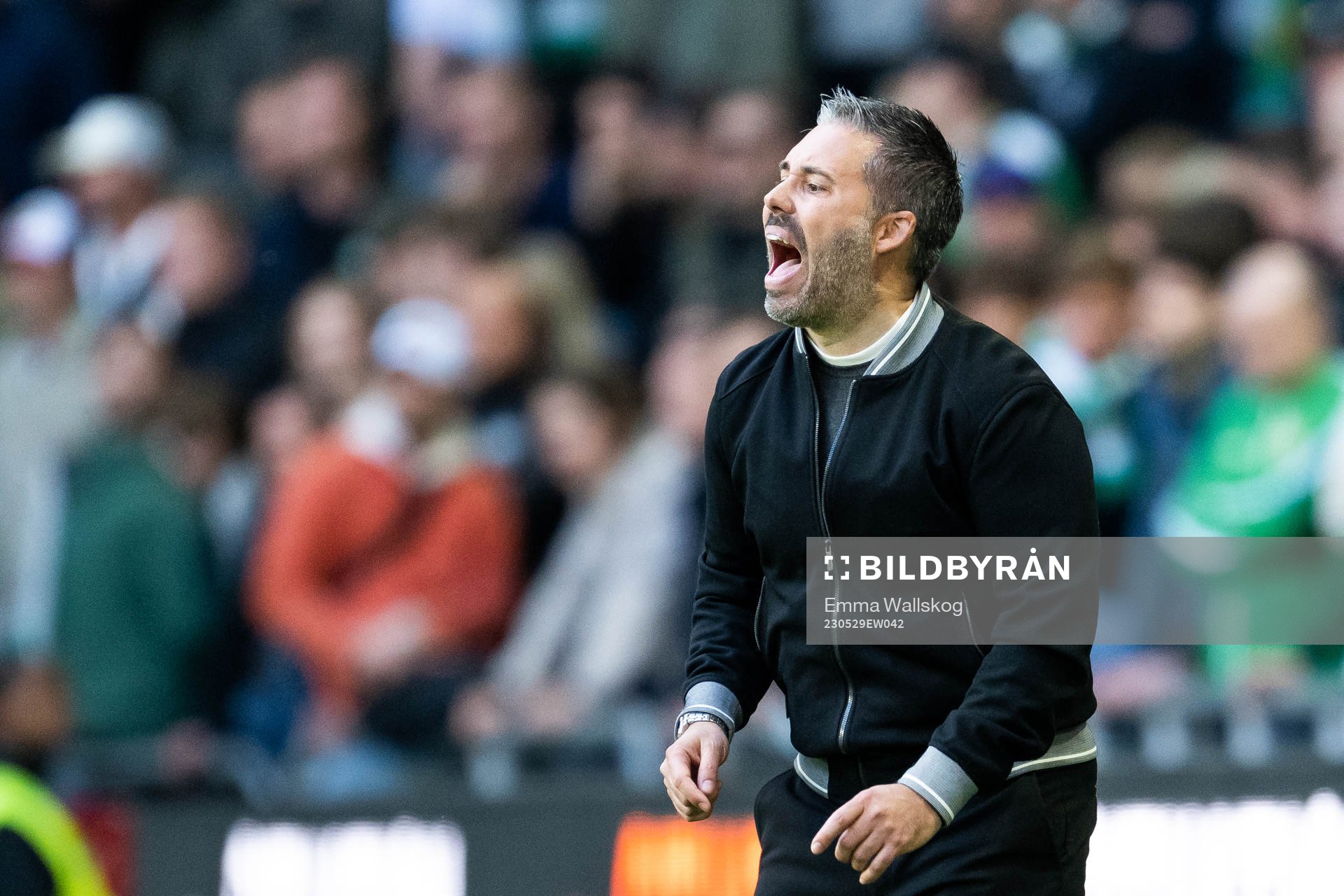 Hammarbys tränare Marti Cifuentes reagerar