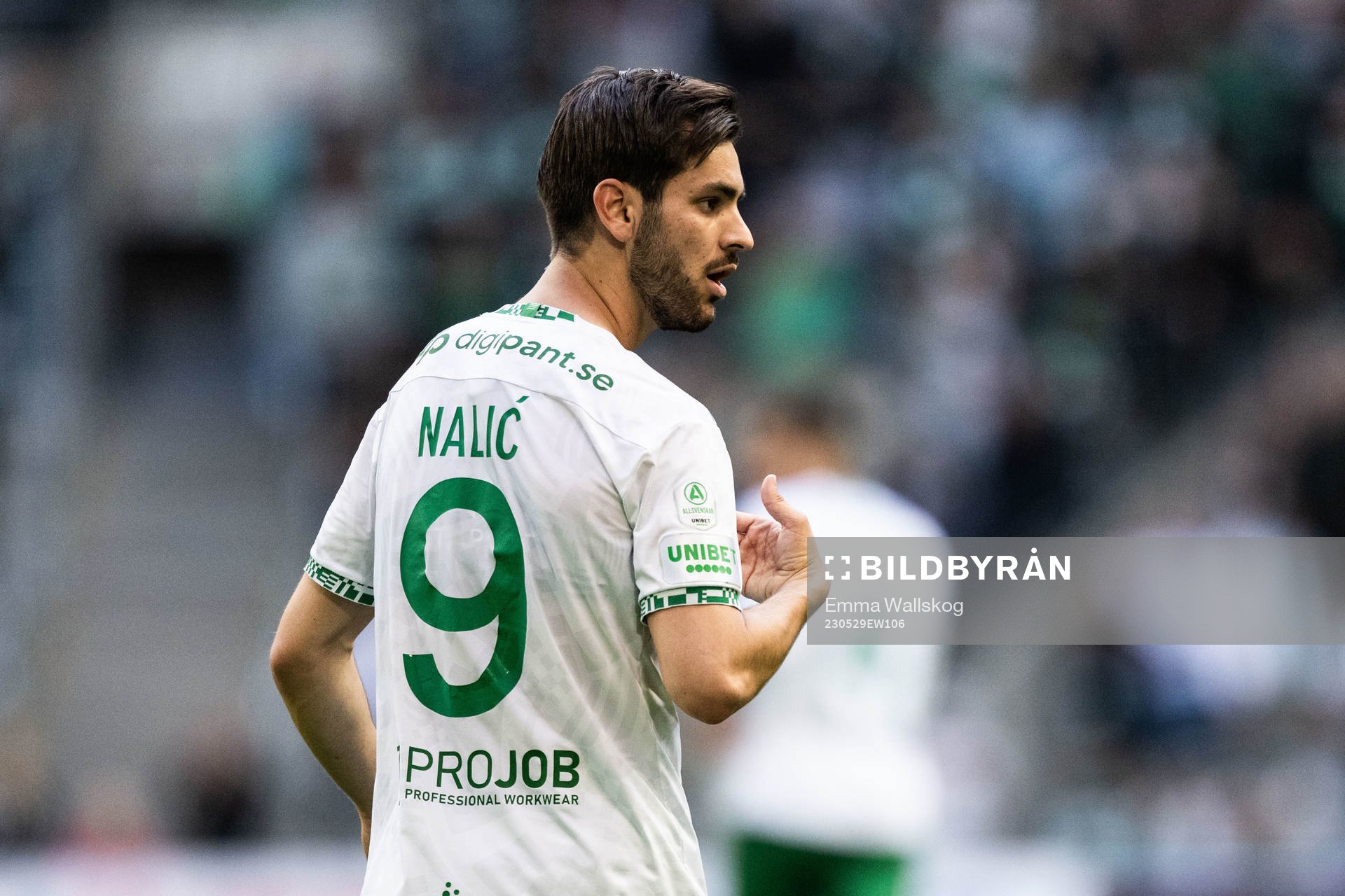Hammarbys Adi Nalic