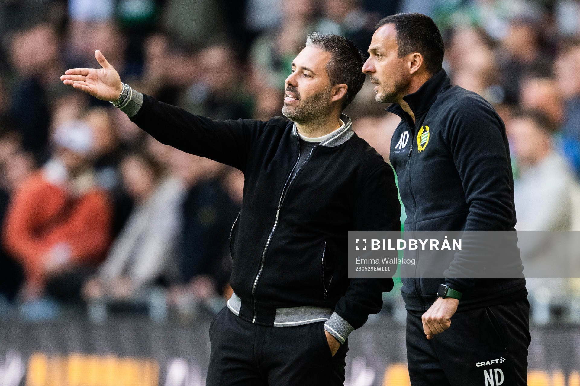 Hammarbys tränare Marti Cifuentes och assisterande tränare Nenad Djordjevic under fotbollsmatchen i Allsvenskan mellan Hammarby och Värnamo den 29 maj 2023 i Stockholm.