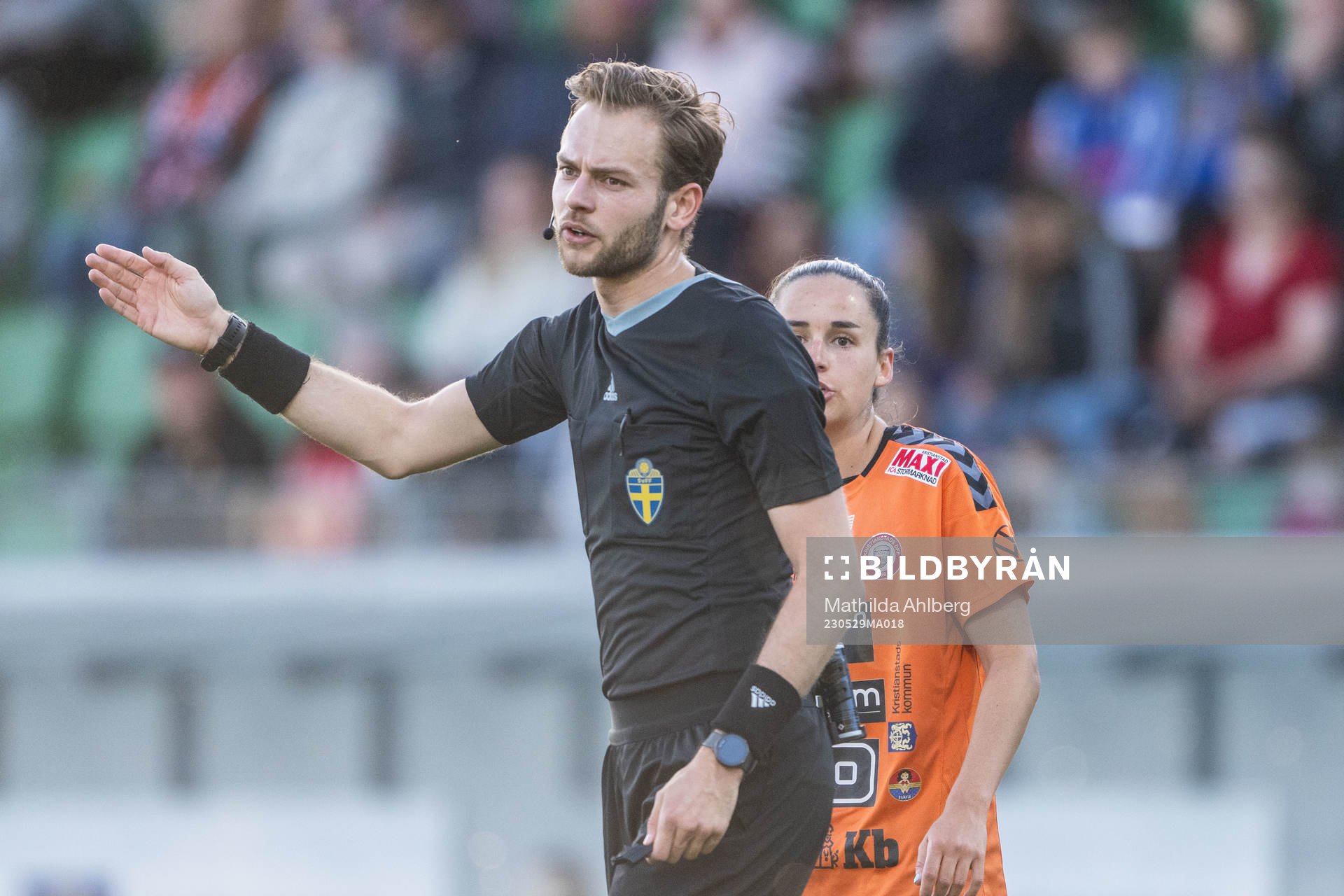 Domare Max Persson