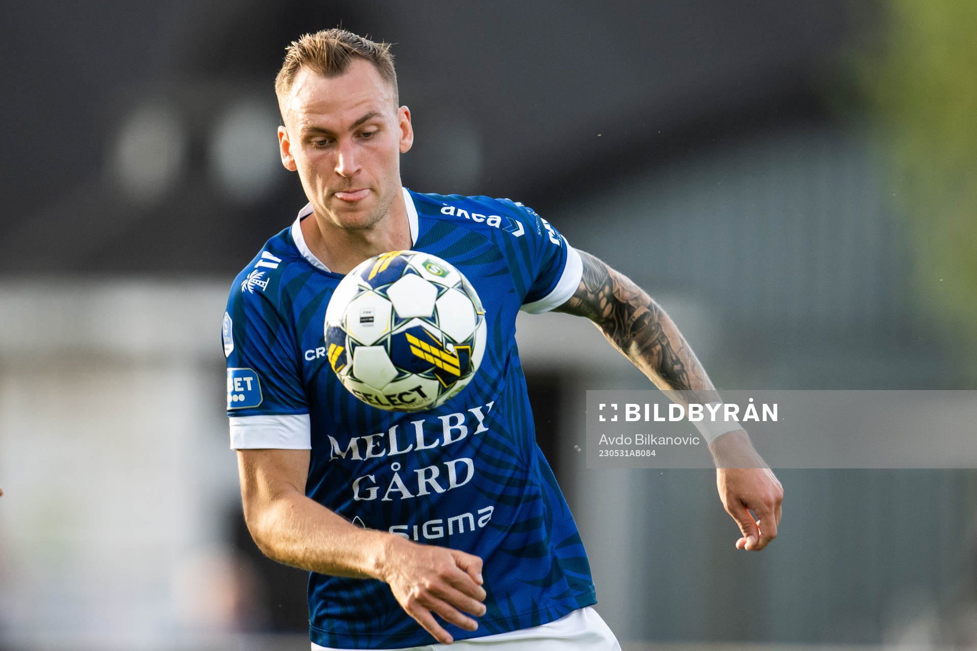 Trelleborgs Filip Bohman