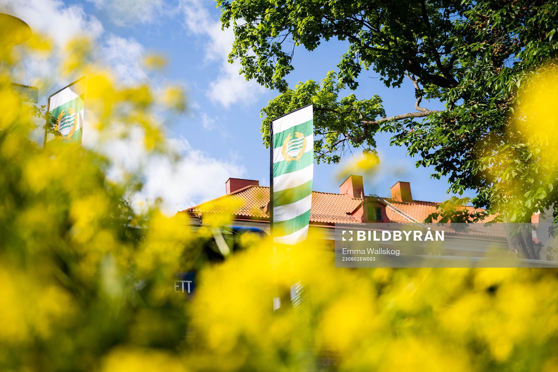 En vimpel med Hammarbys logga