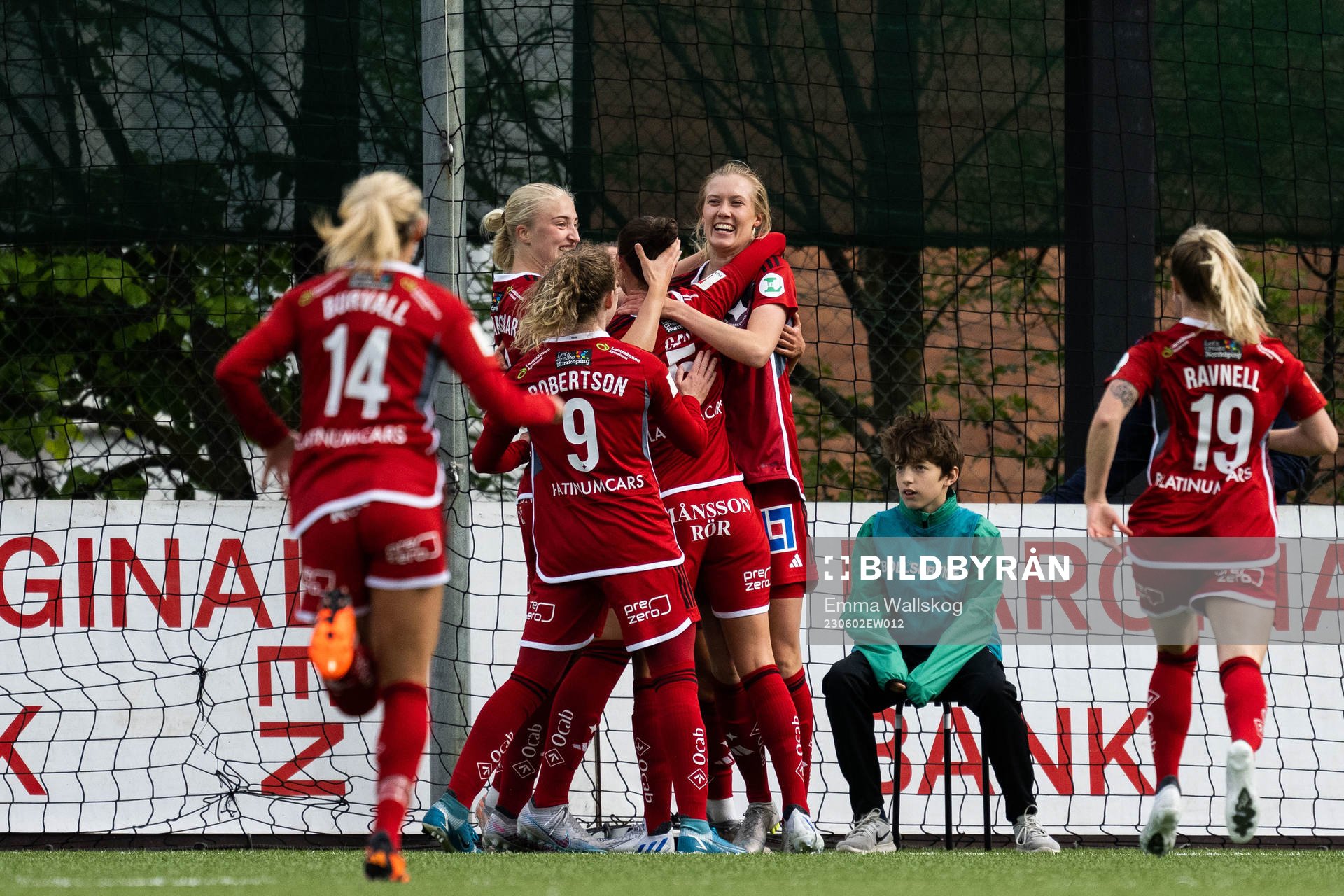 IFK Norrköpings My Cato jublar med lagkamrater