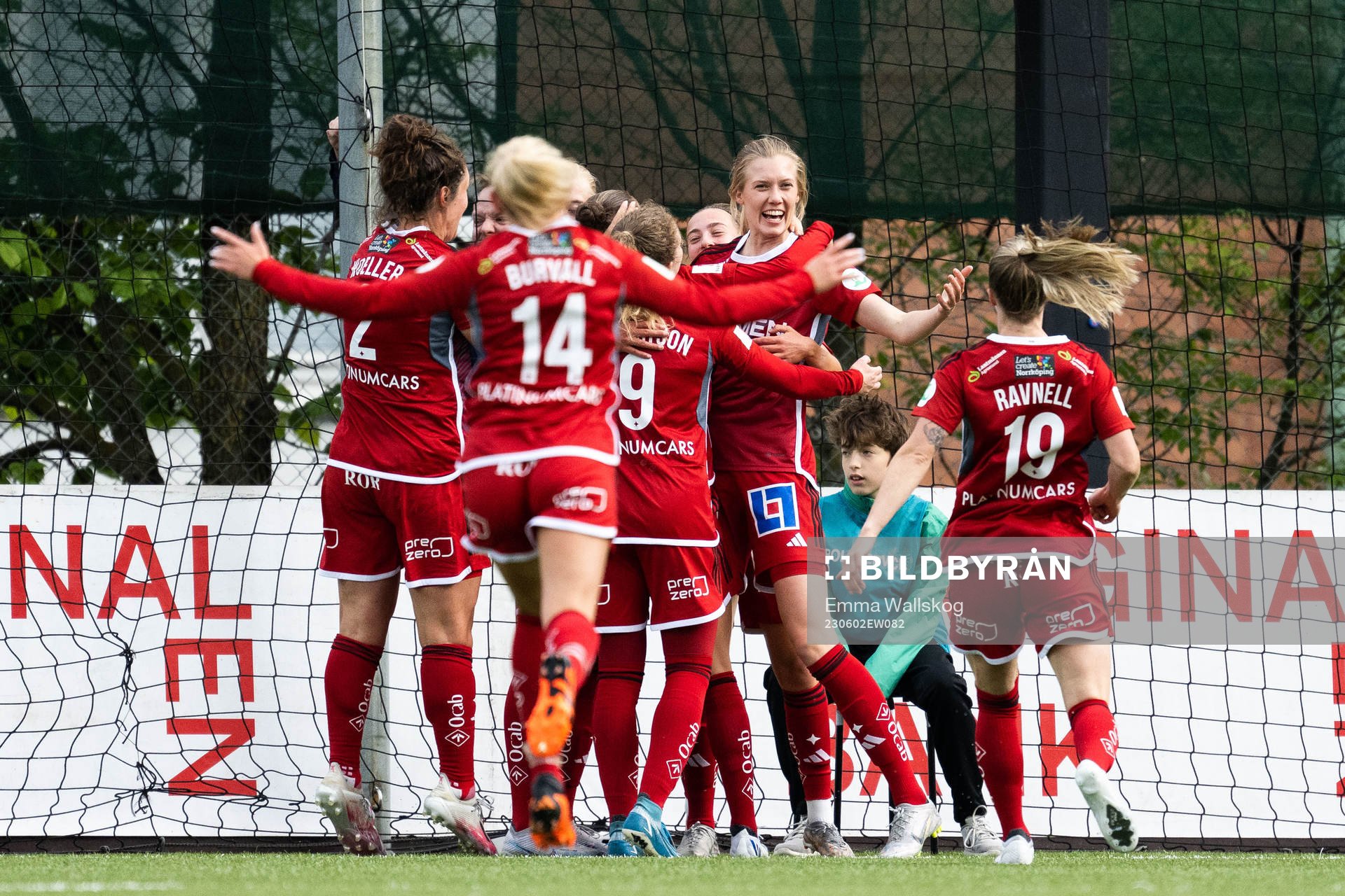 IFK Norrköpings My Cato jublar med lagkamrater