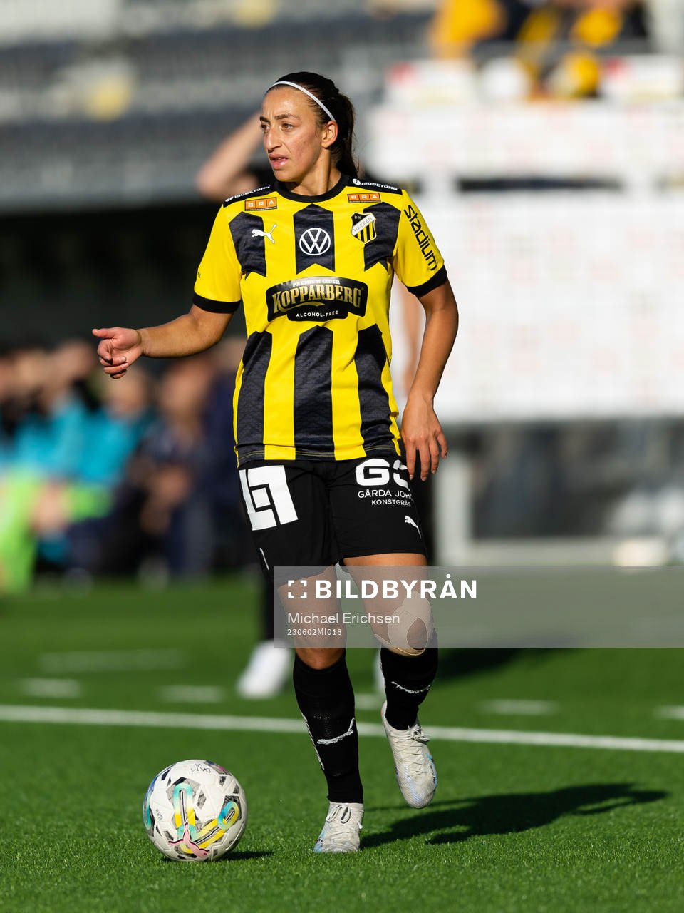 Häckens Rusul Rosa Kafaji