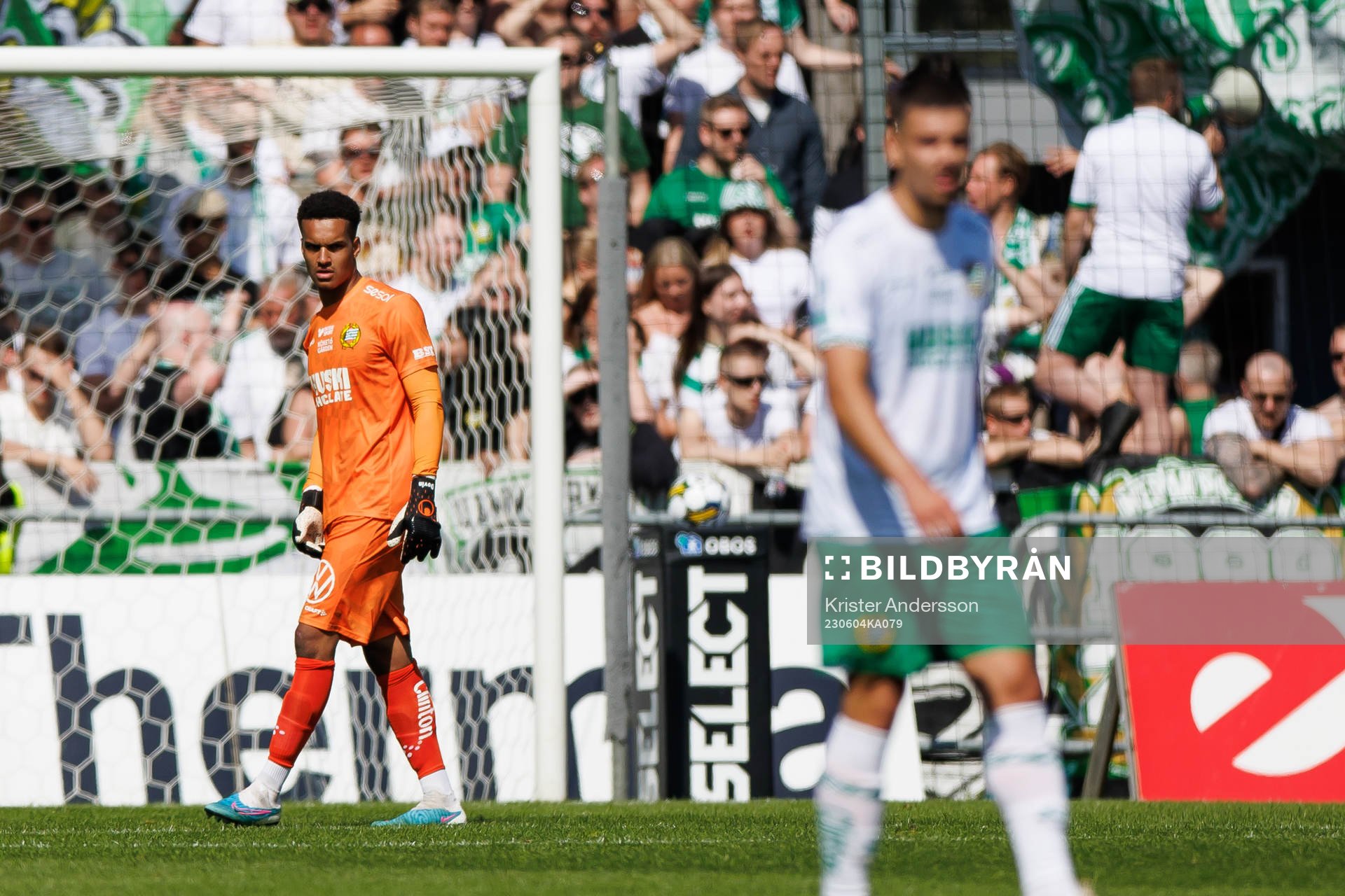 Hammarbys målvakt Oliver Dovin