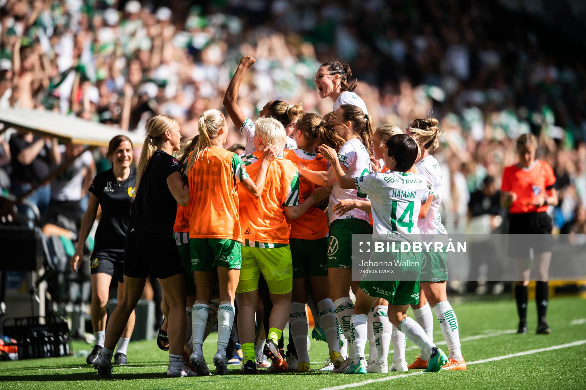 Hammarbys spelare jublar