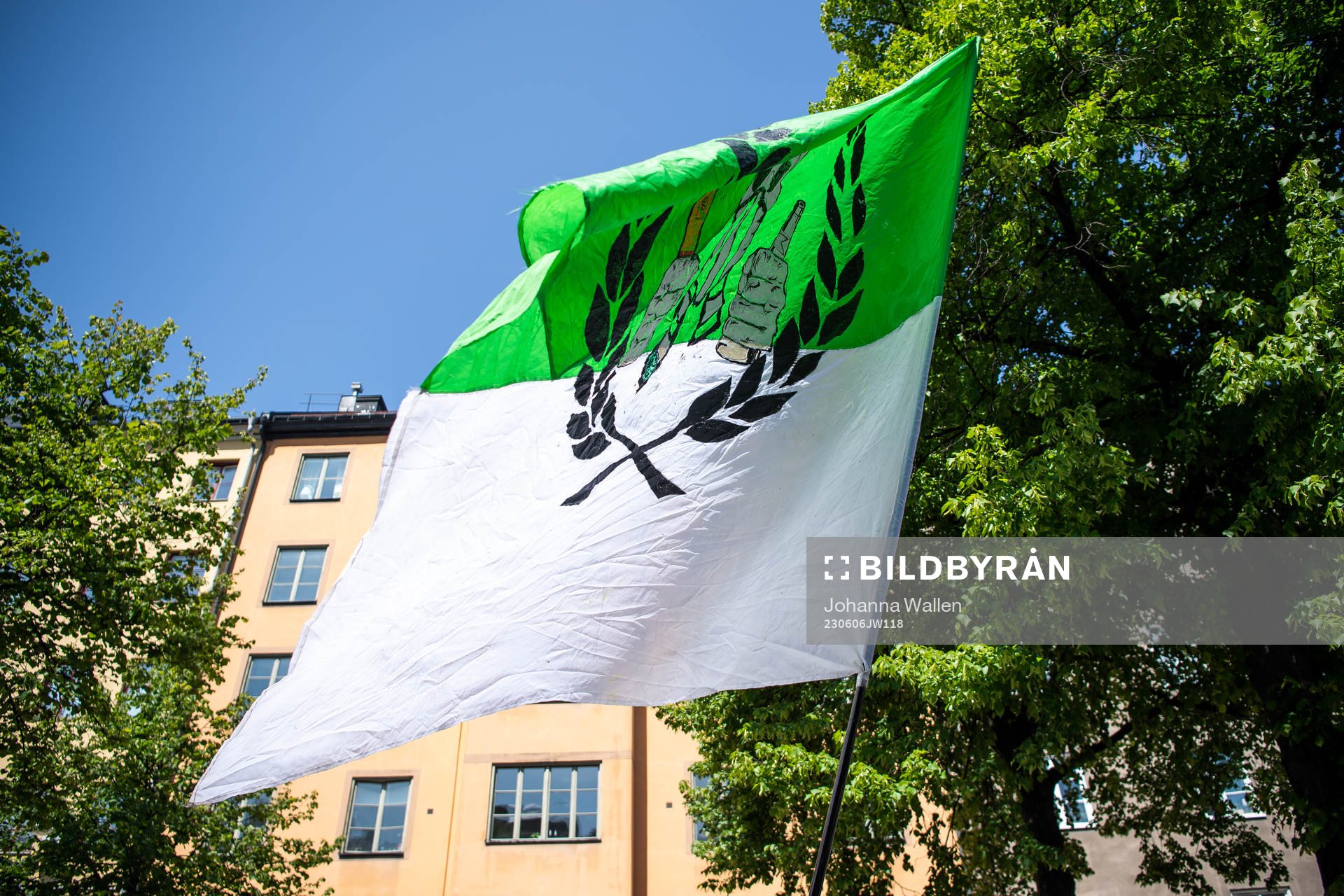 Hammarbys supportrar