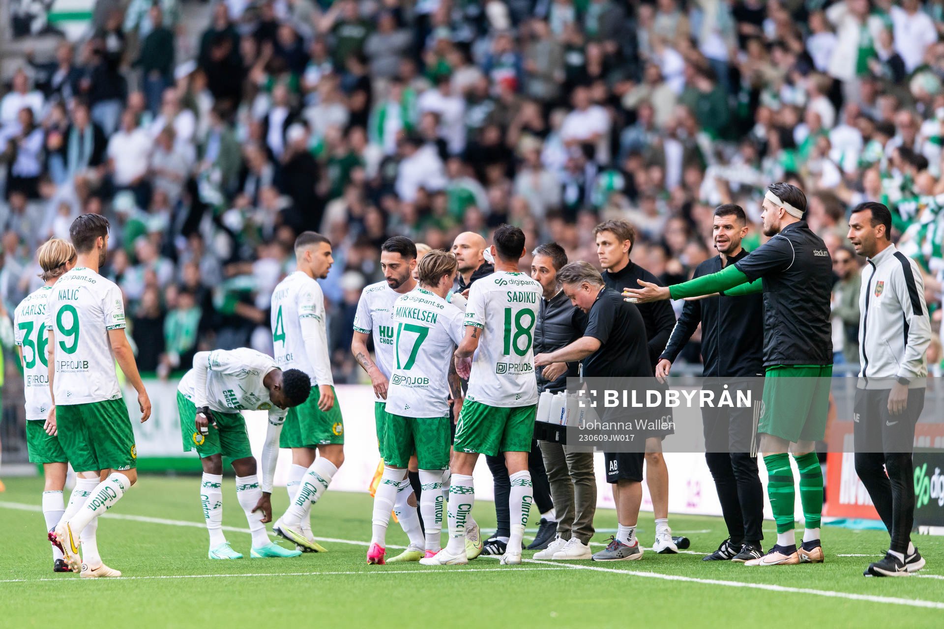 Hammarbys spelare
