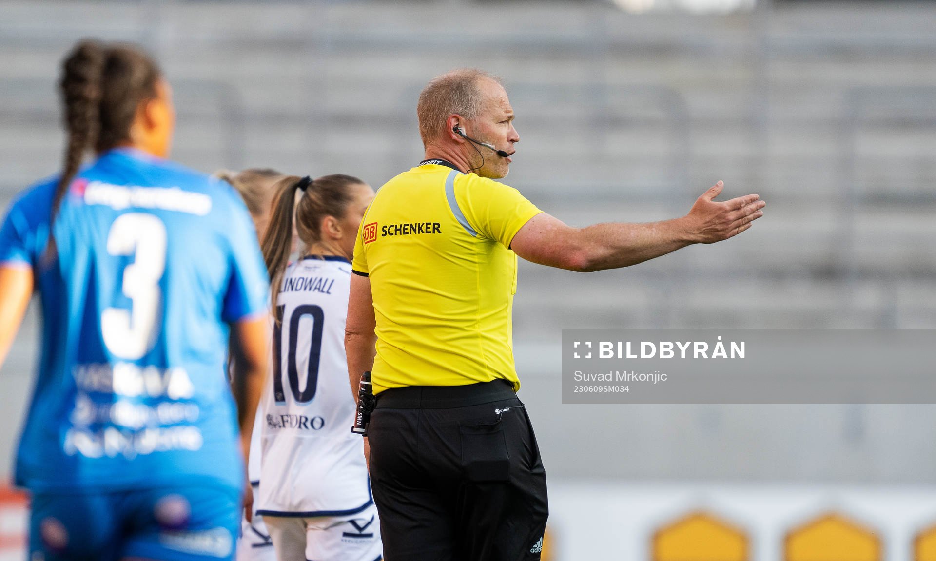 Domare Niklas Olsson
