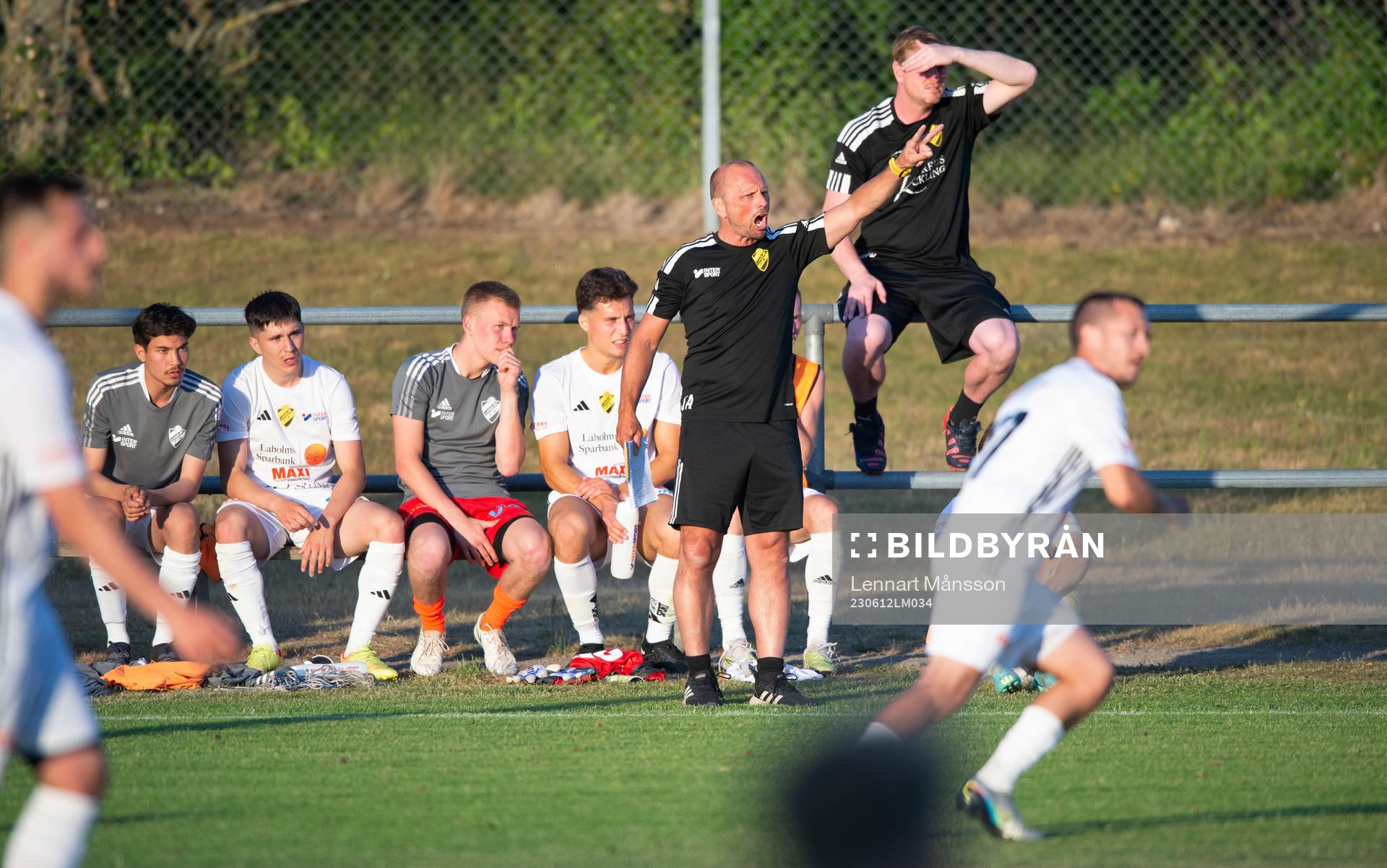 Laholms tränare Jonas Axeldal i matchen i Svenska Cupen mellan Laholm och IFK Hässleholm i Laholm 12 juni 2023.