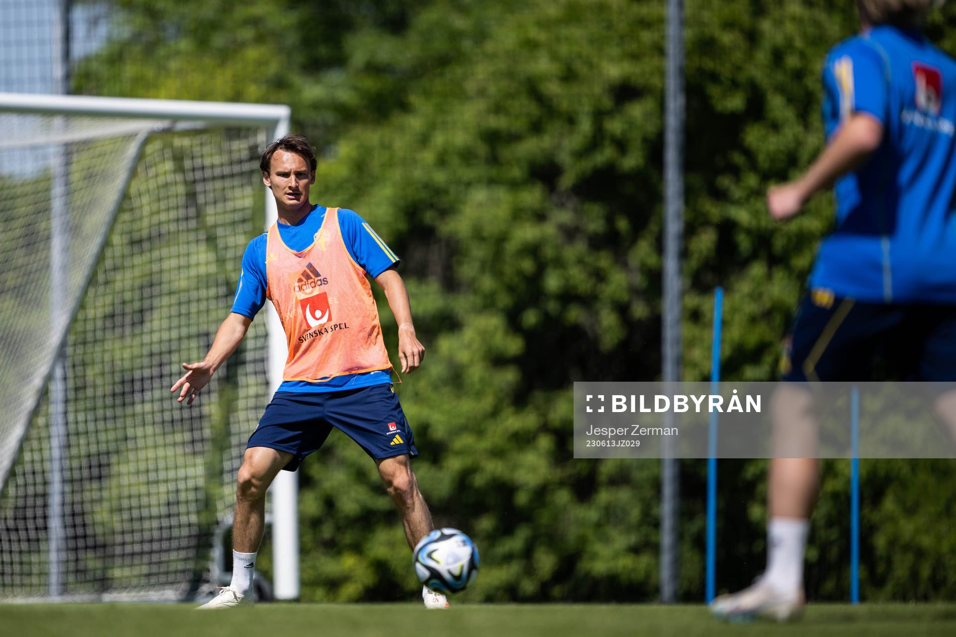 Hjalmar Ekdal of the Swedish national football team
