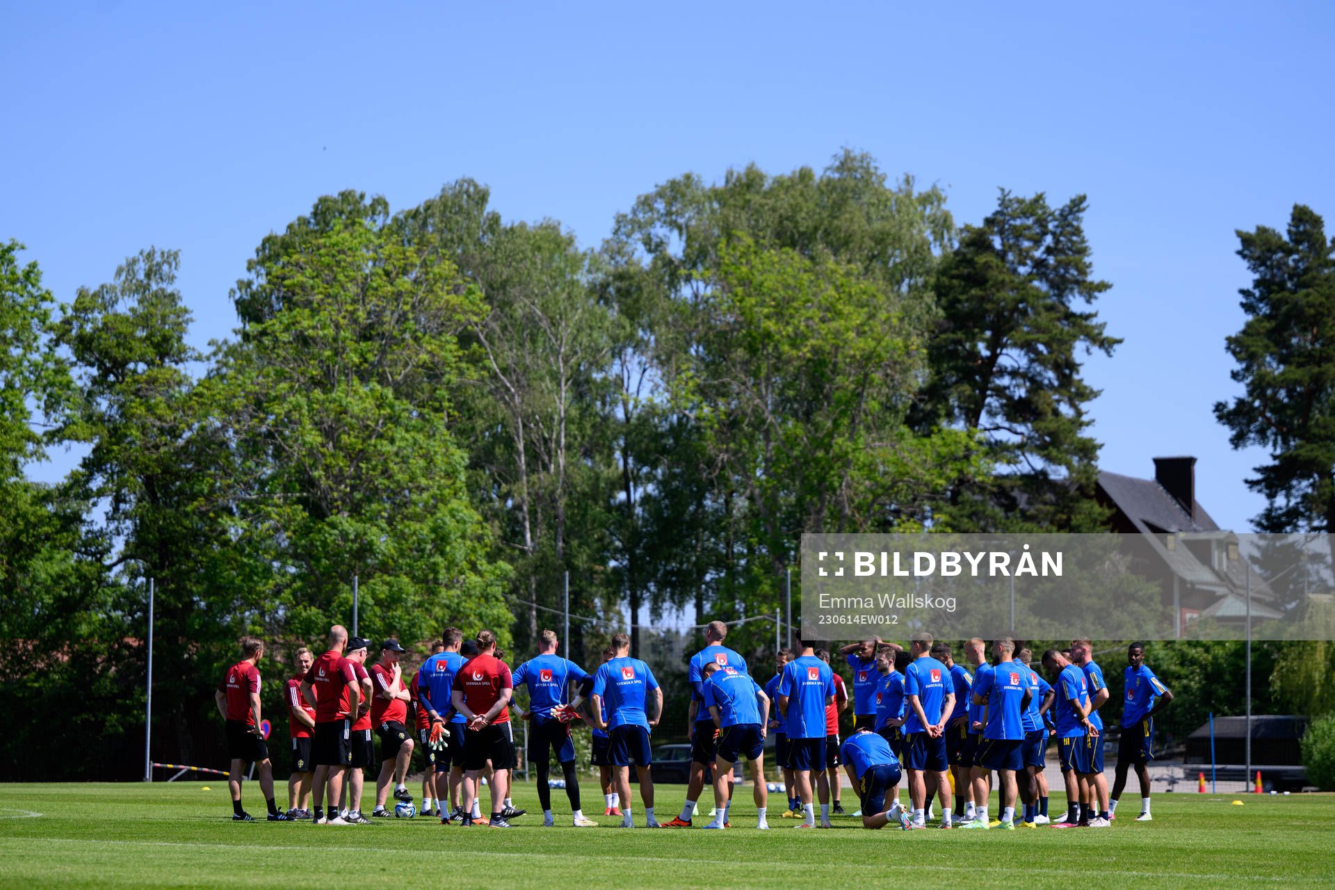 Players of the Swedish national football team