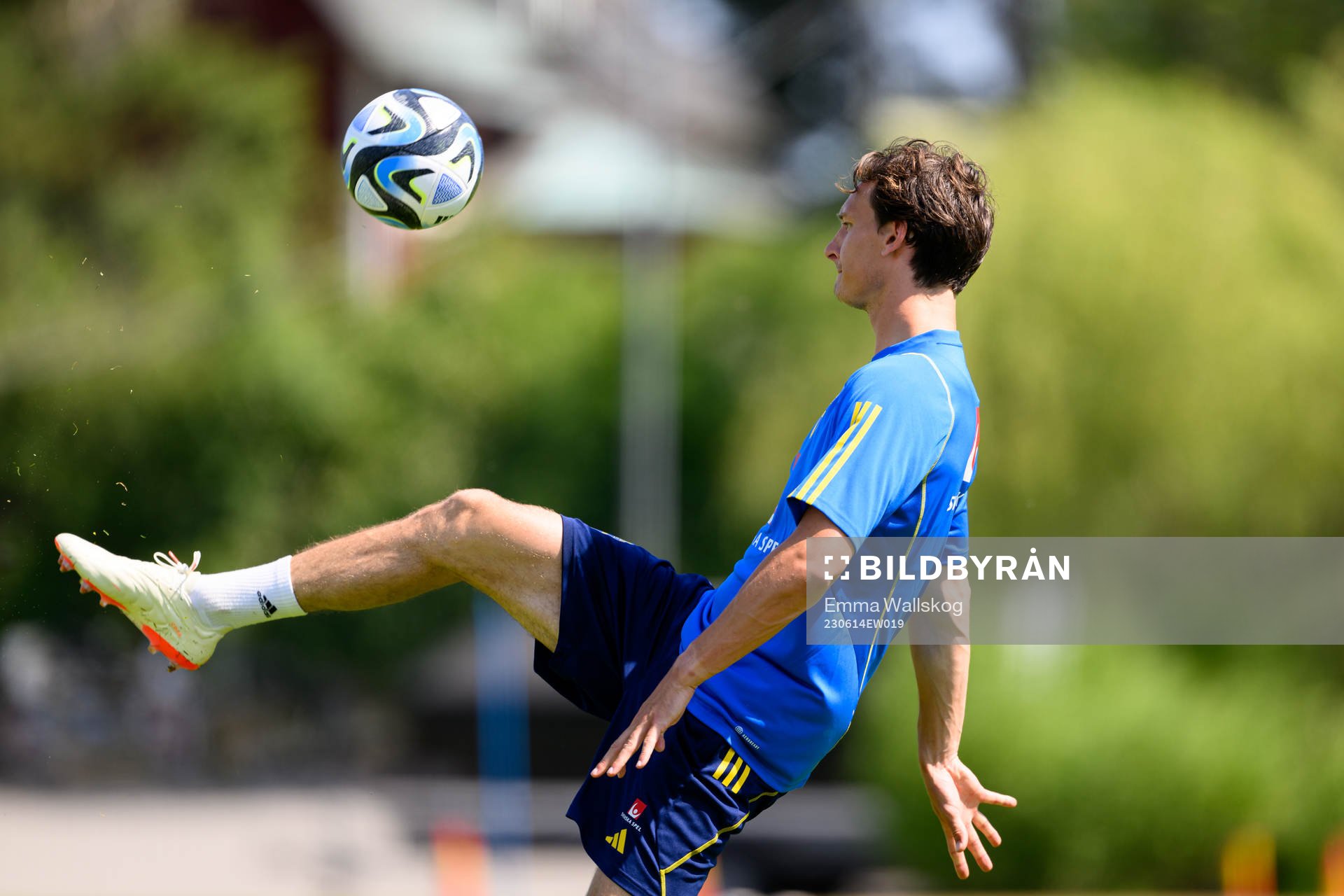 Hjalmar Ekdal of the Swedish national football team