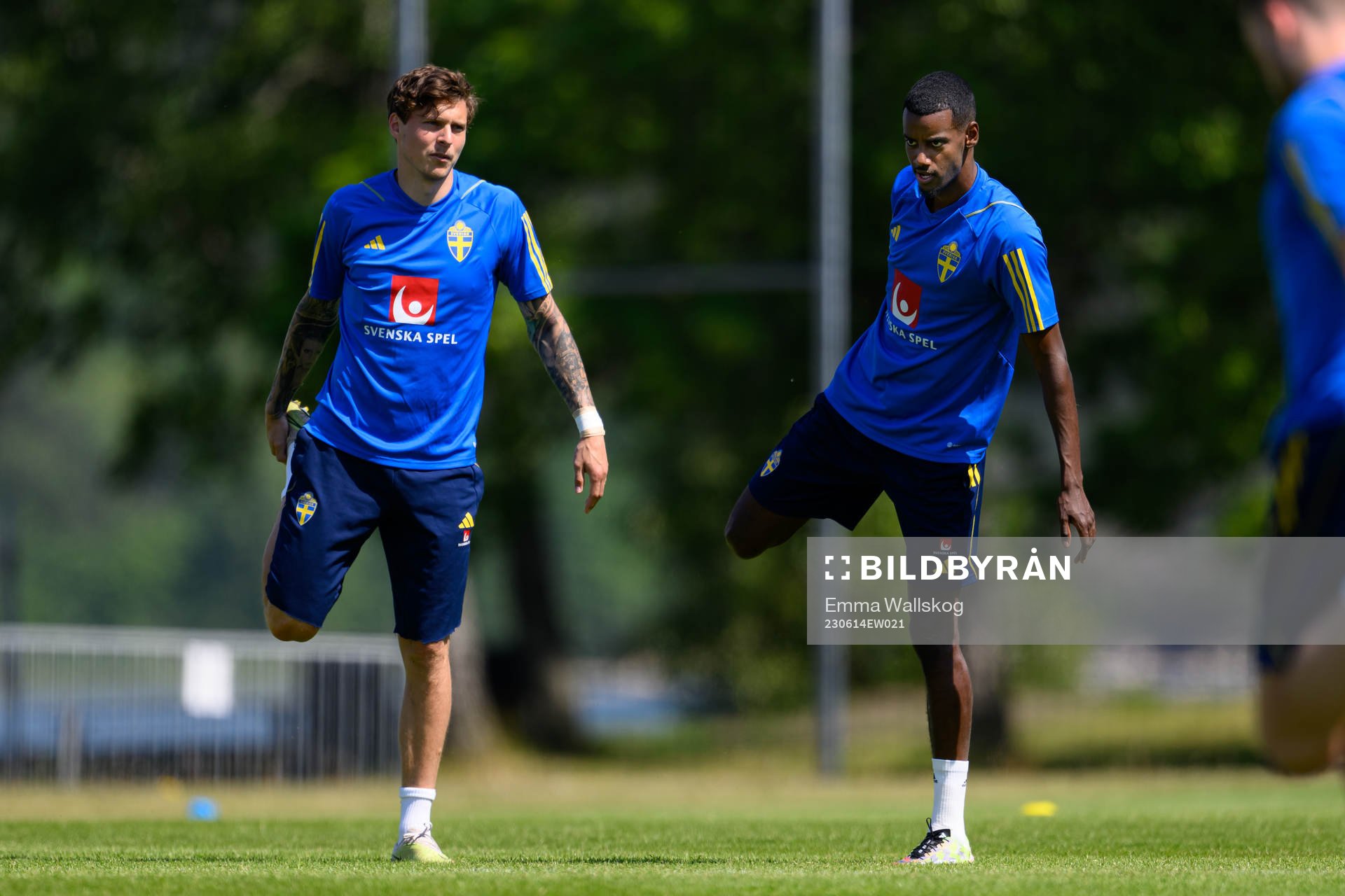 Victor Nilsson Lindelöf and Alexander Isak of the Swedish