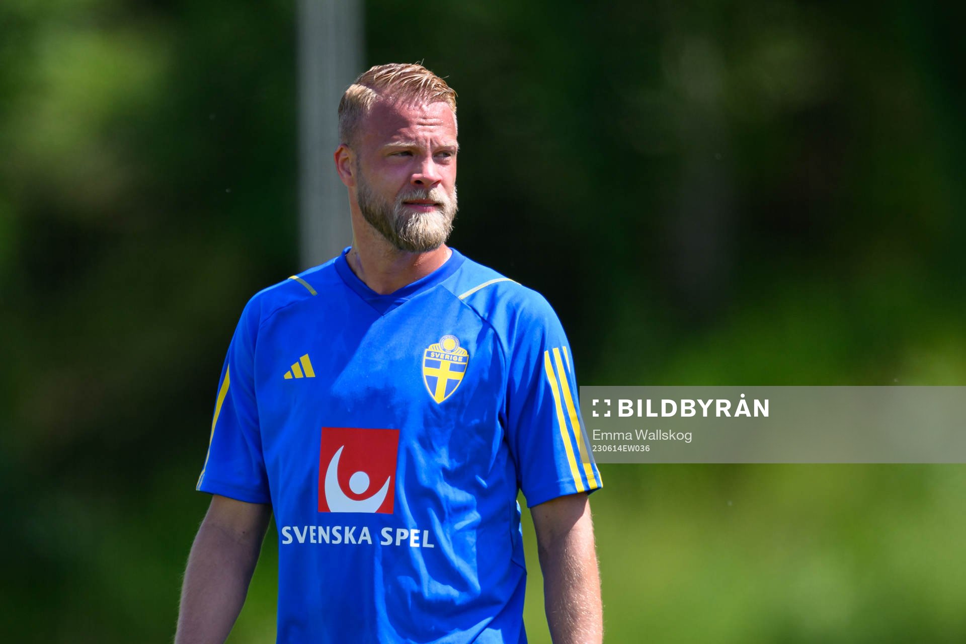 Daniel Sundgren of the Swedish national football team