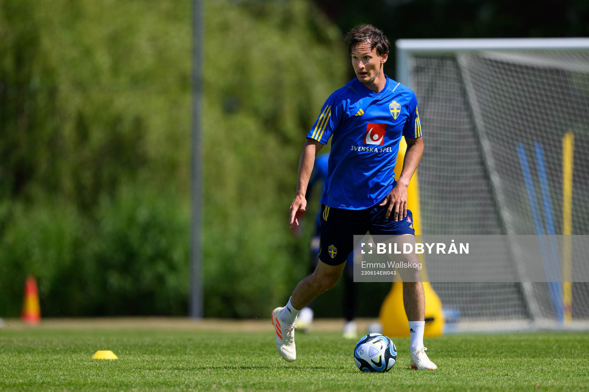 Hjalmar Ekdal of the Swedish national football team
