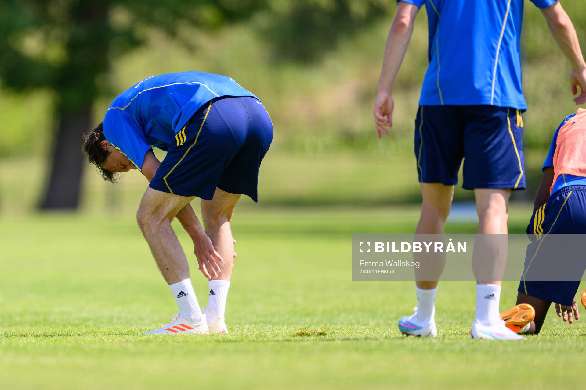 Hjalmar Ekdal in pain of the Swedish national football team