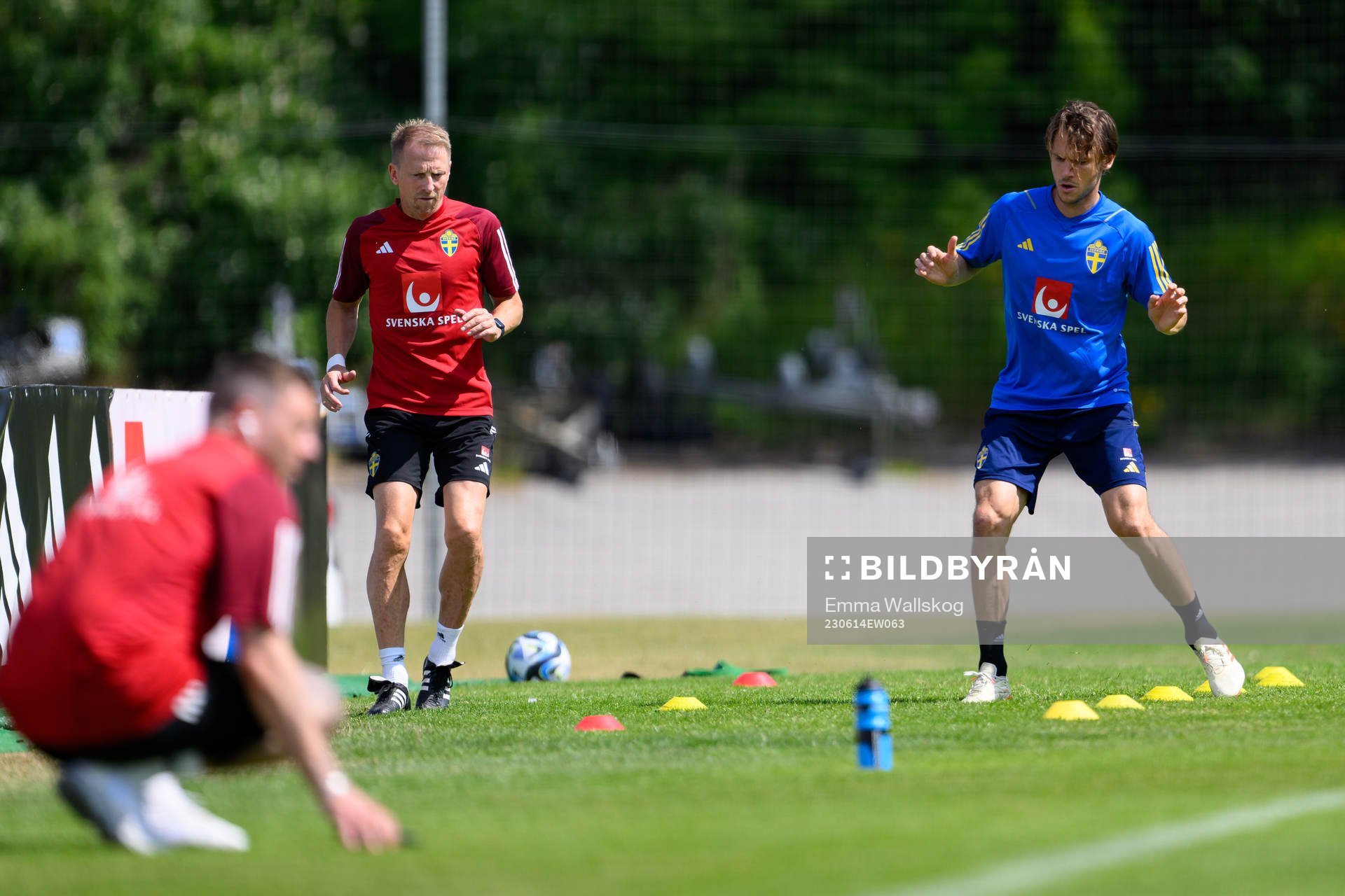 Albin Ekdal of the Swedish national football team