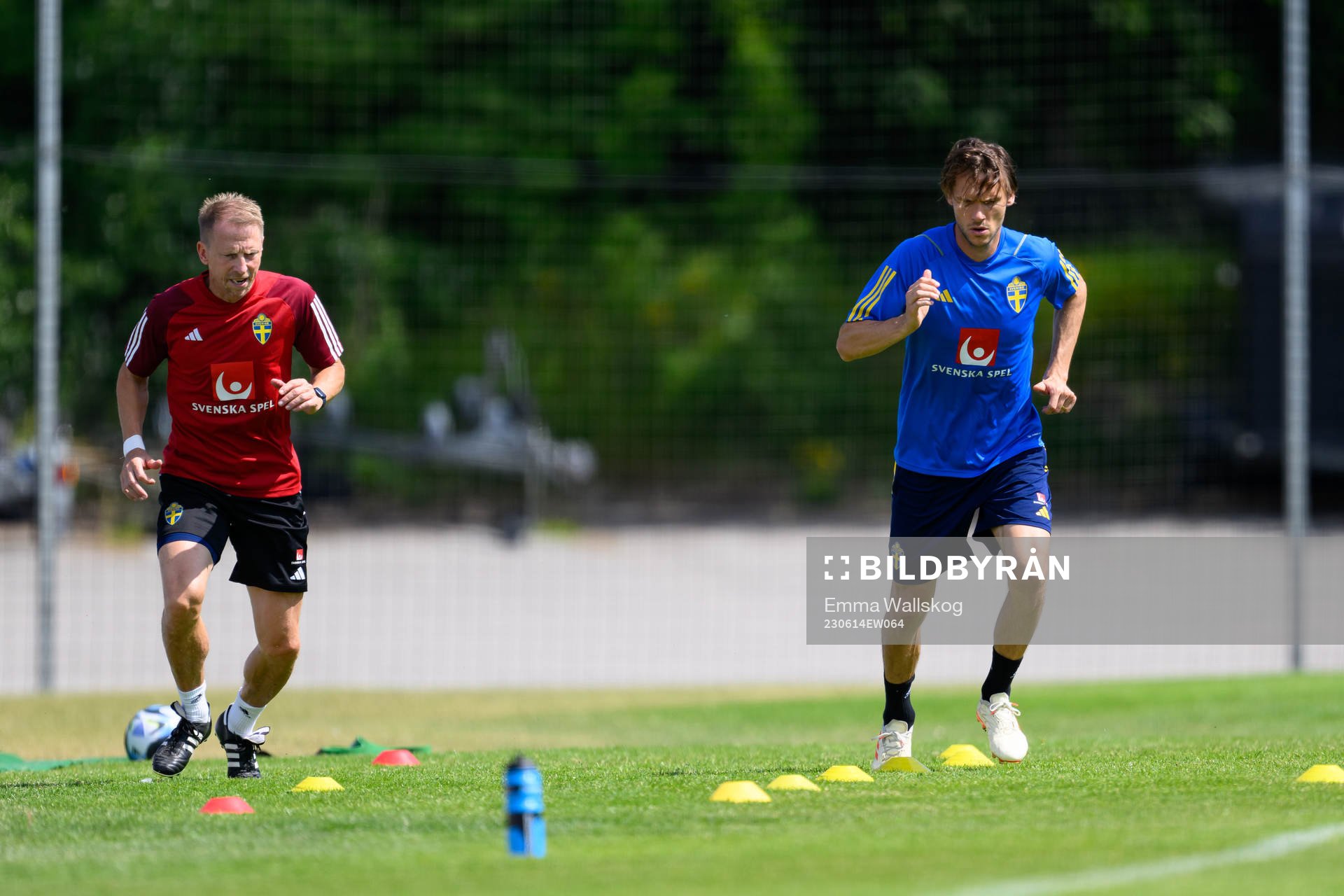 Albin Ekdal of the Swedish national football team