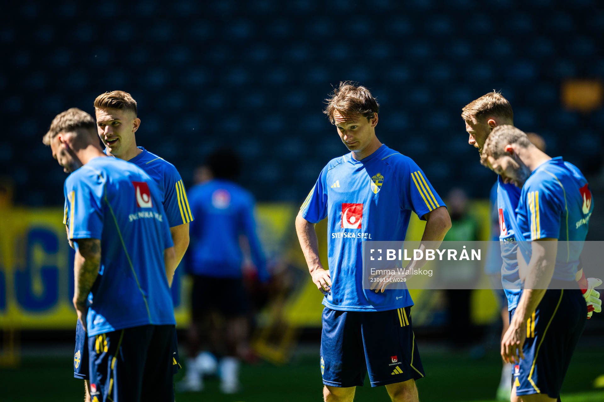 Hjalmar Ekdal of the Swedish national football team