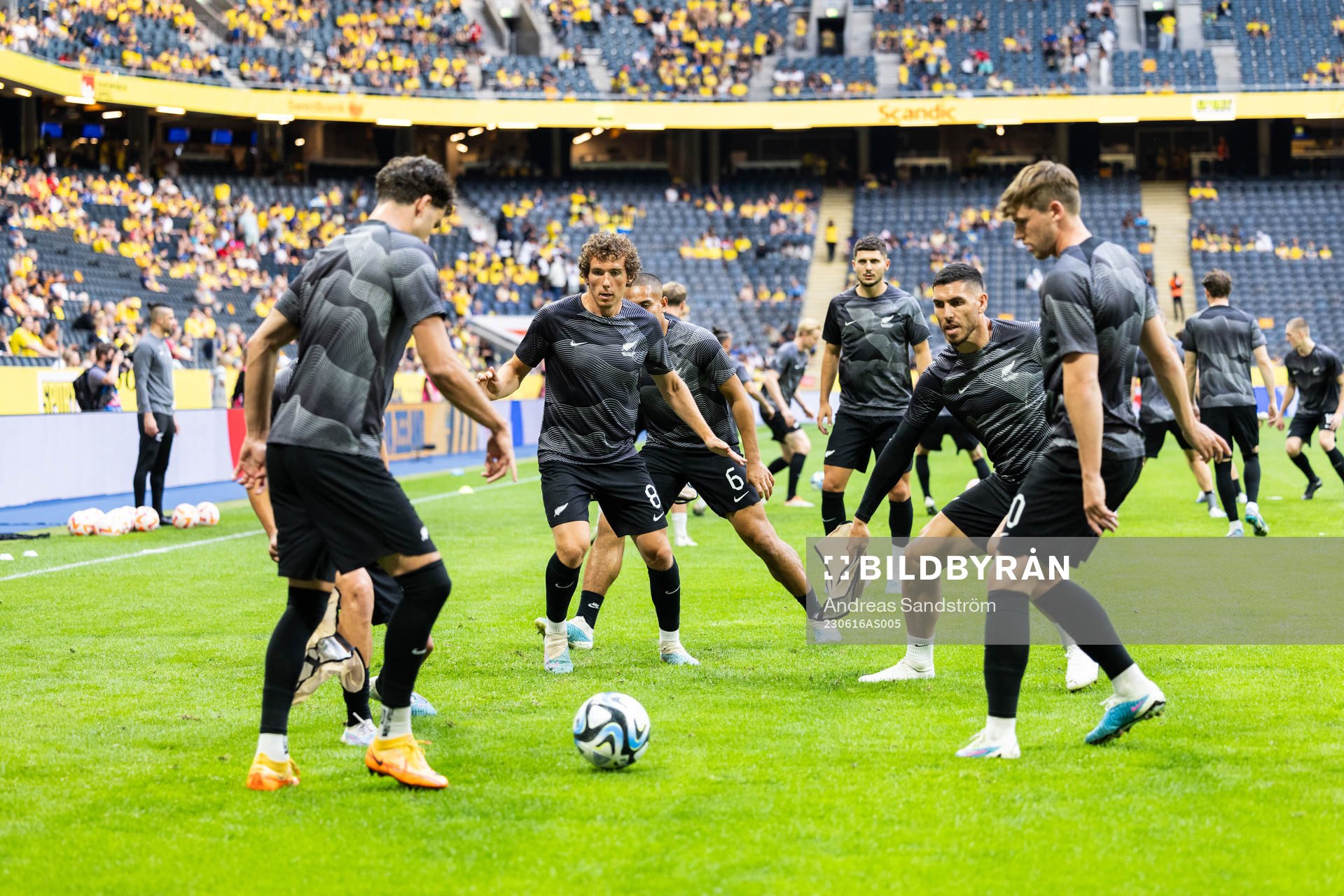 Players of of New Zealand
