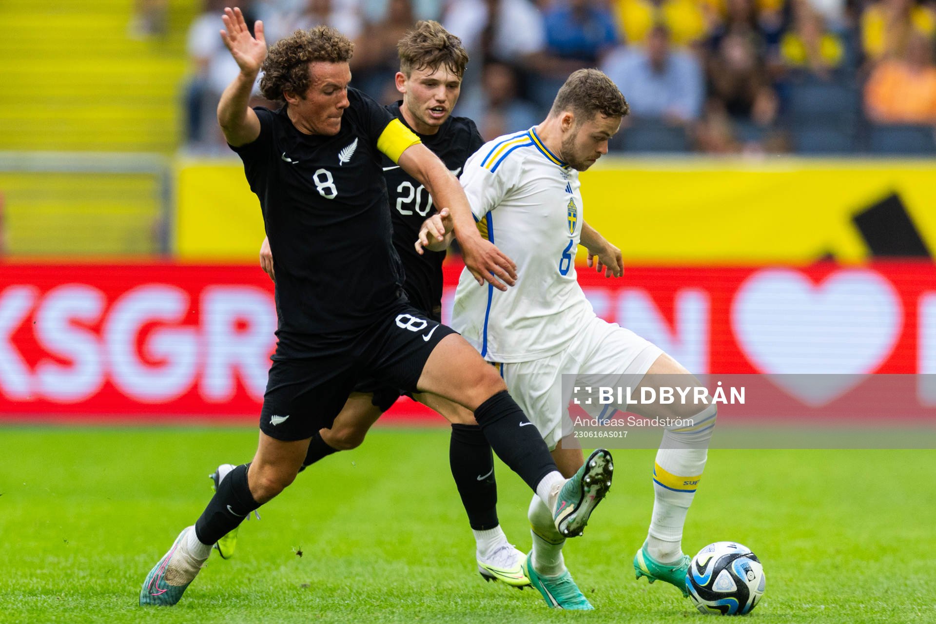 Joe Bell of New Zealand and Gabriel Gudmundsson of Sweden