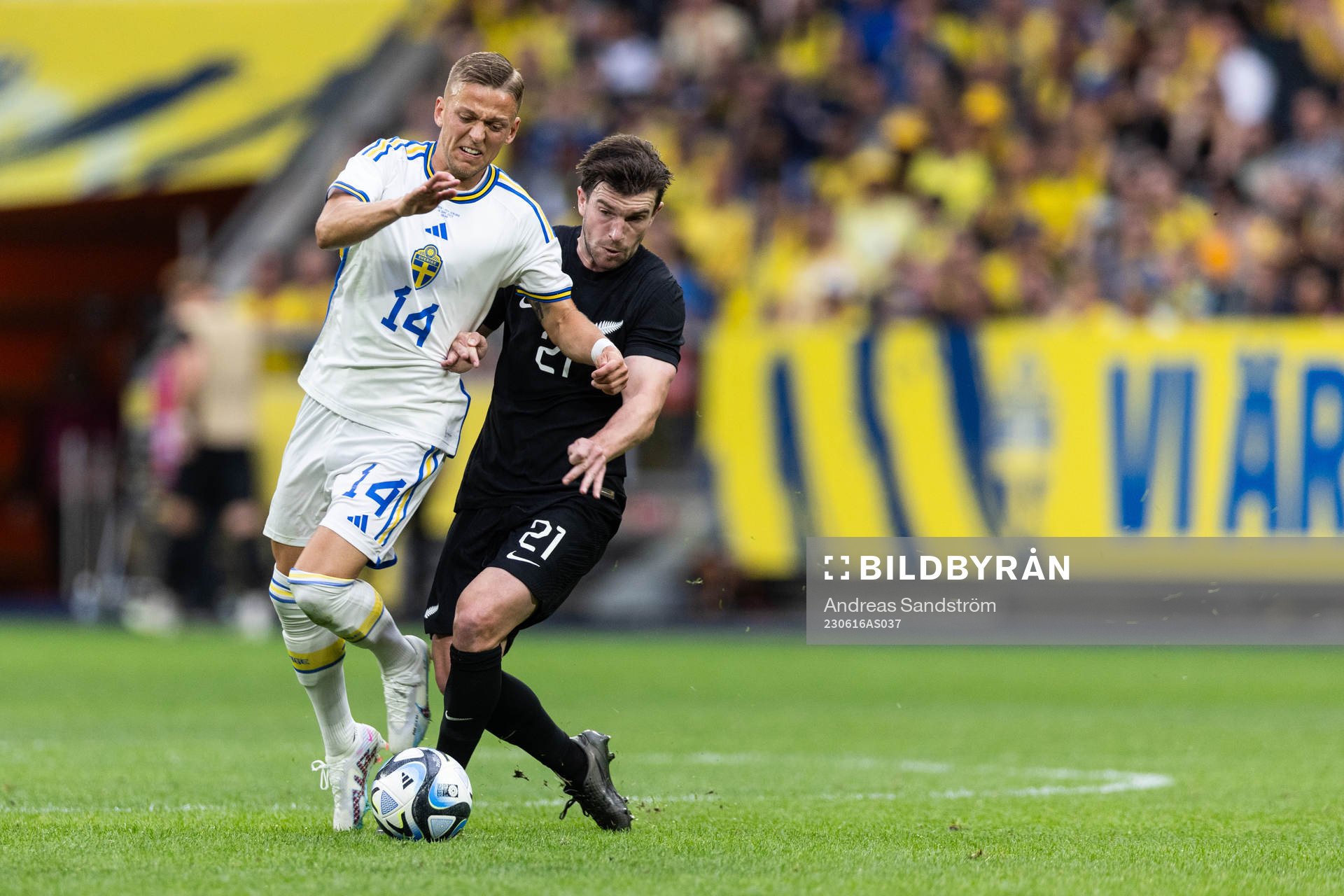 Jesper Karlsson of Sweden and Tim Payne of New Zealand