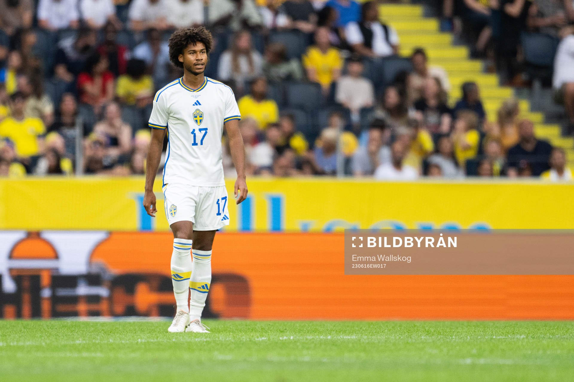 Jens Cajuste of Sweden looks dejected