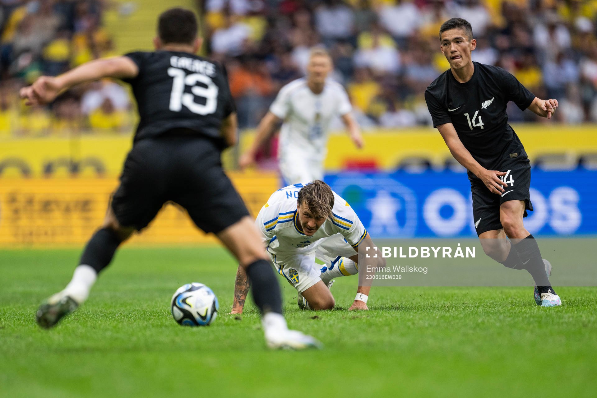 Liberato Cacace and Elijah Just of New Zealand against