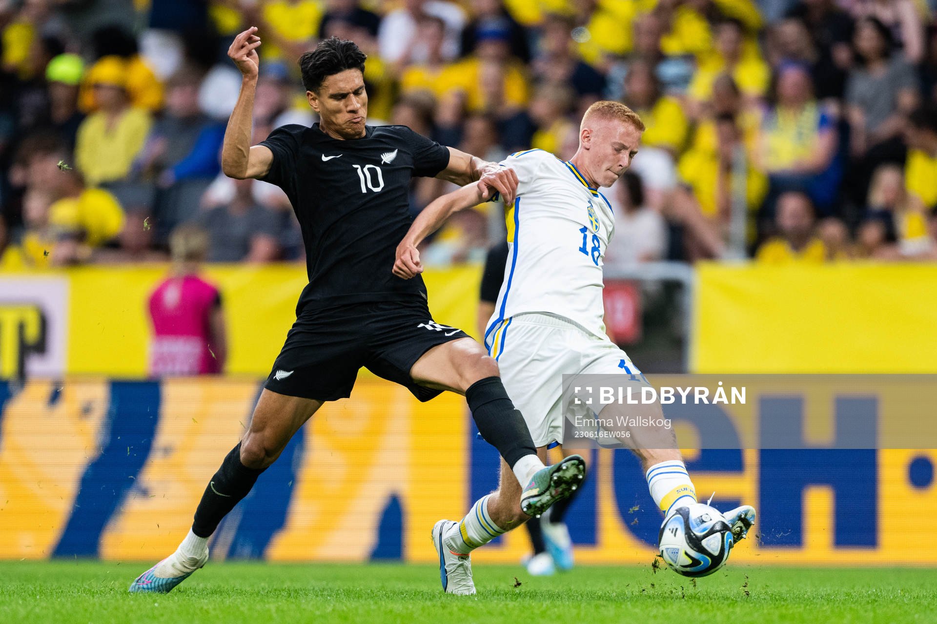 Marko Stamenic of New Zealand and Hugo Larsson of Sweden