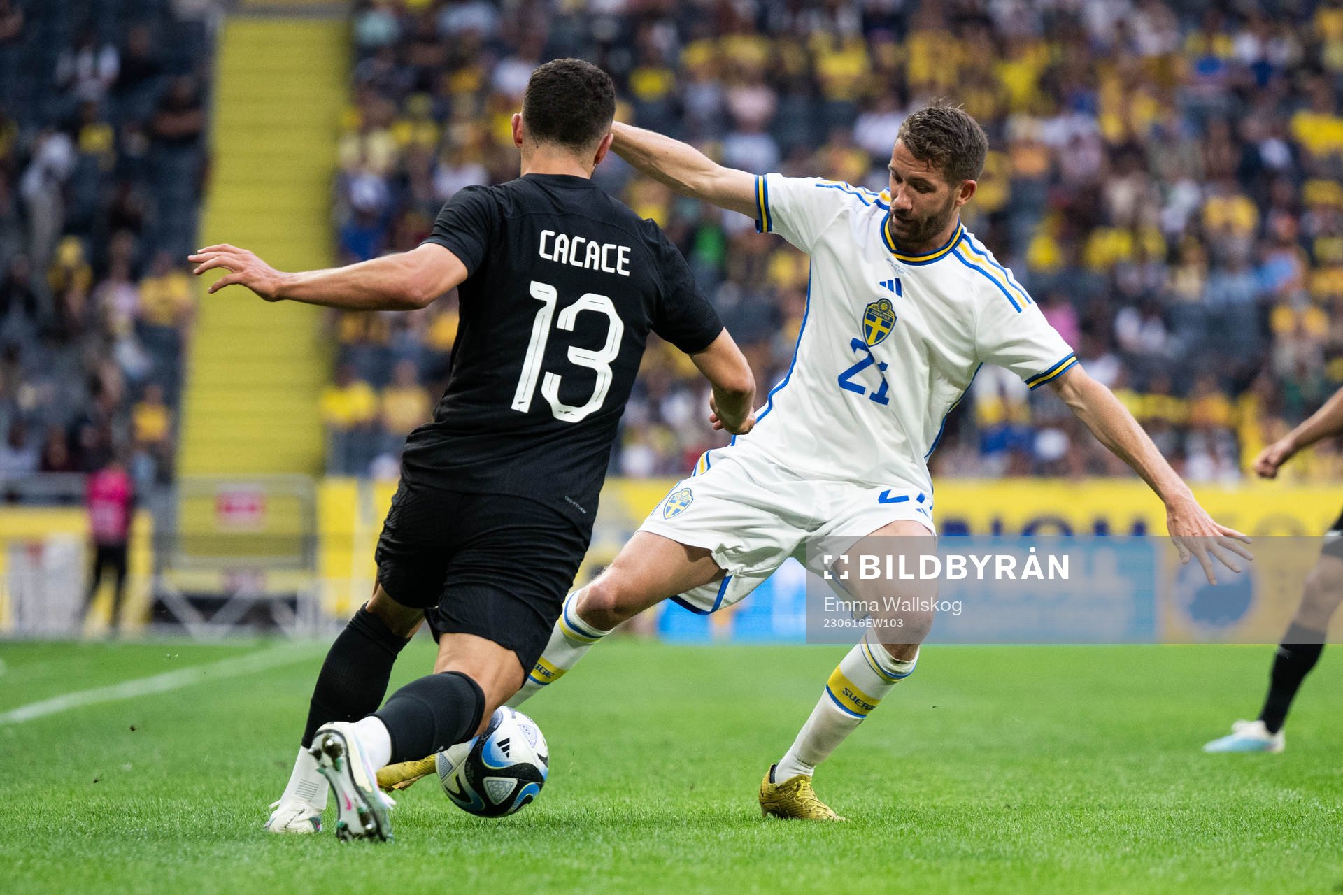 Liberato Cacace of New Zealand and Marcus Rohdén of Sweden