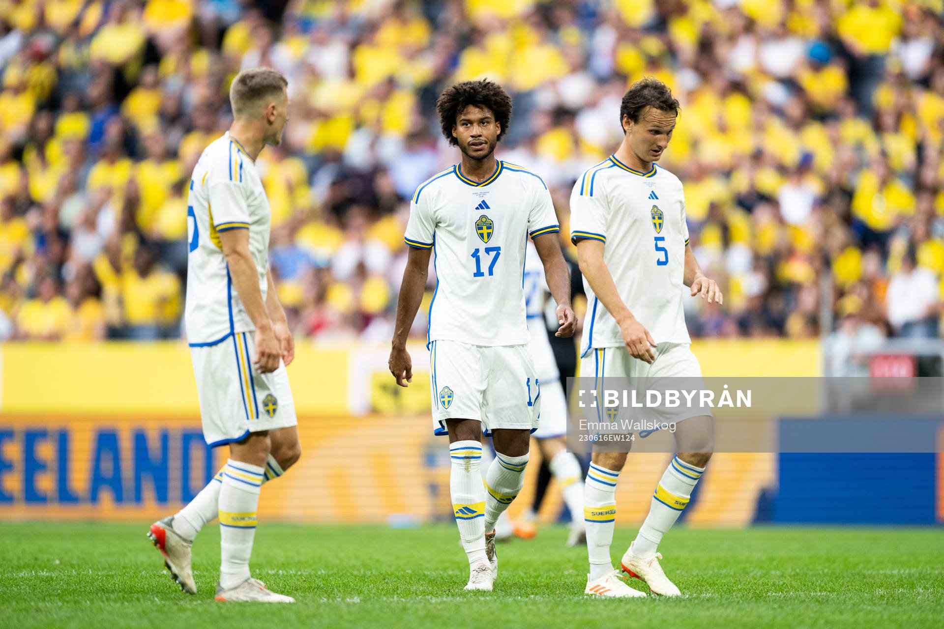 Carl Starfelt, Jens Cajuste and Hjalmar Ekdal of Sweden