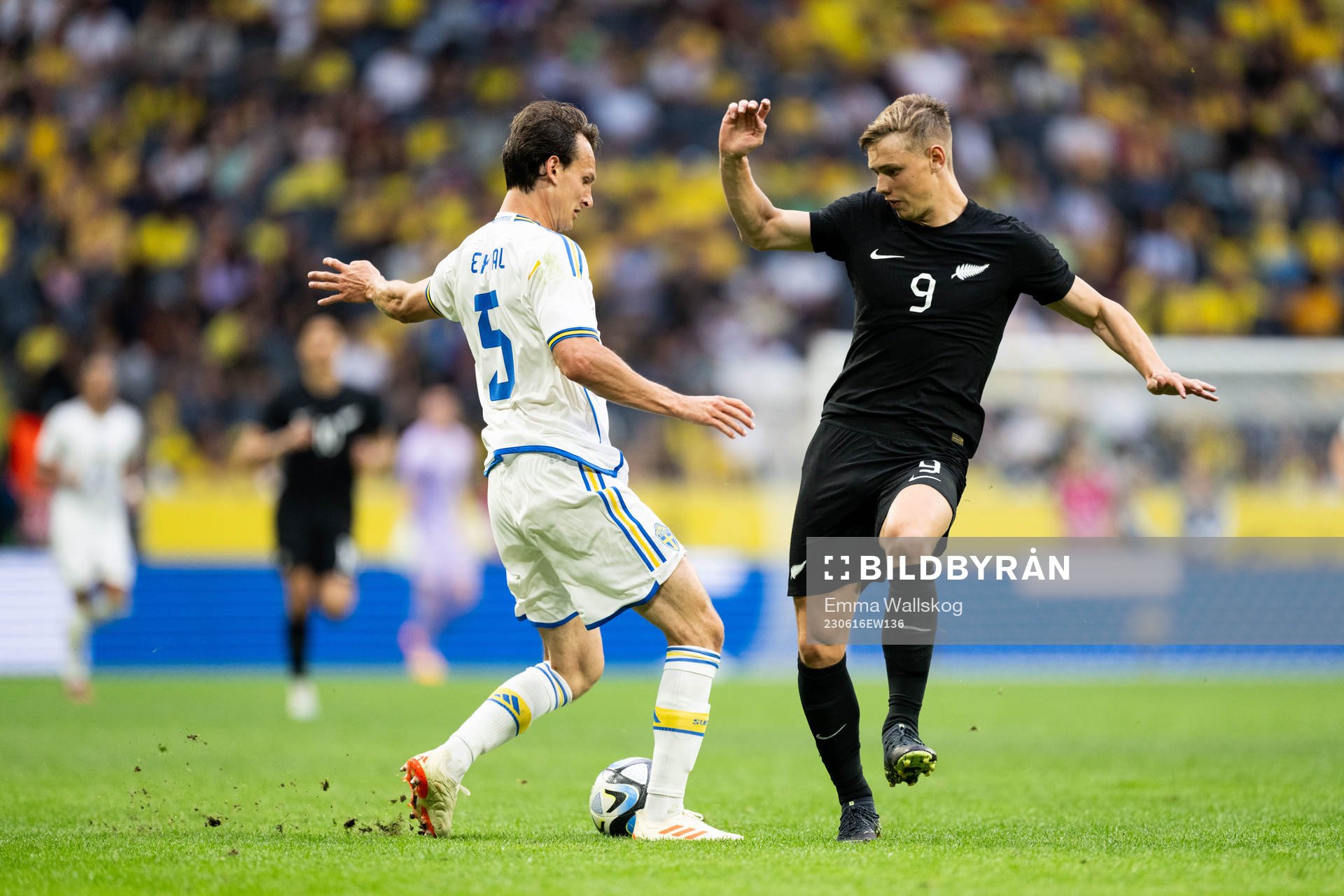 Hjalmar Ekdal of Sweden and Ben Waine of New Zealand