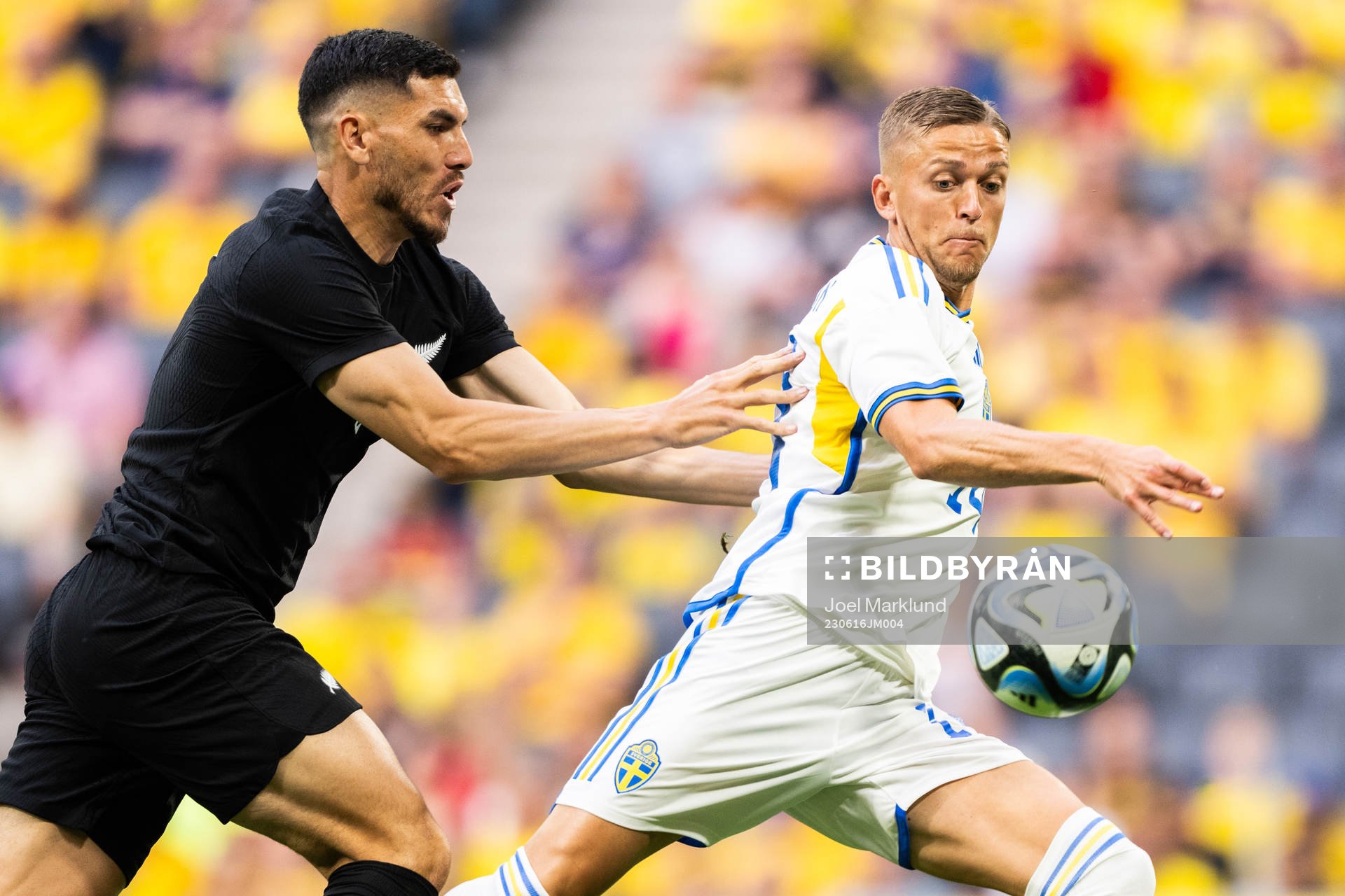 Michael Boxall of New Zealand and Jesper Karlsson of Sweden