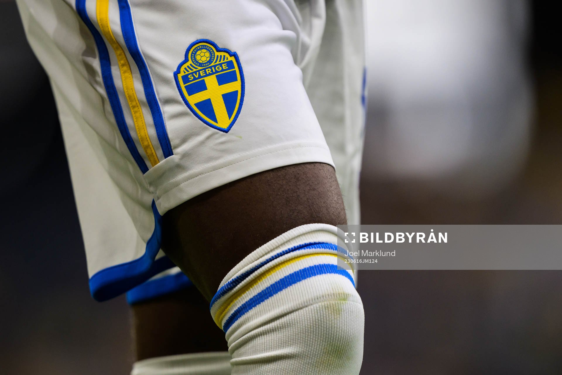 Detail of the Swedish emblem