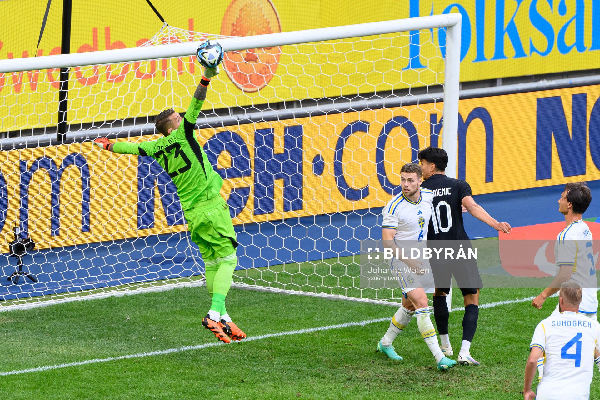 goalkeeper Kristoffer Nordfeldt of Sweden