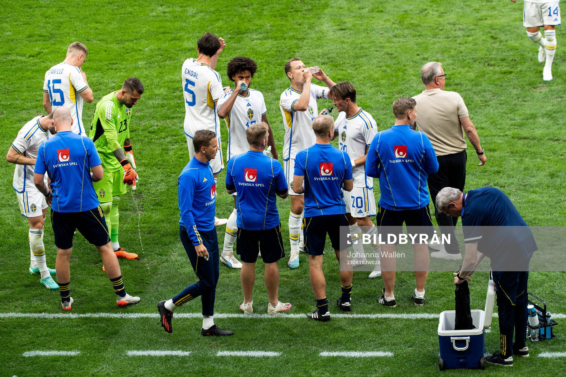 Players of of Sweden