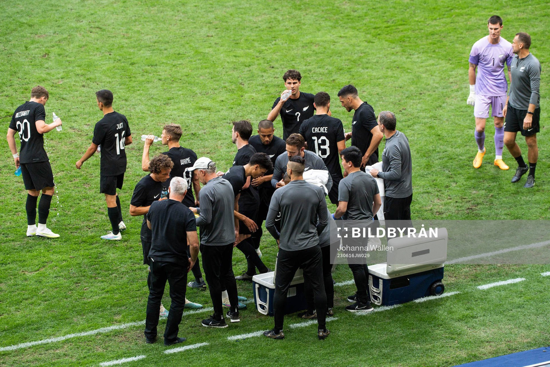 Players of New Zealand