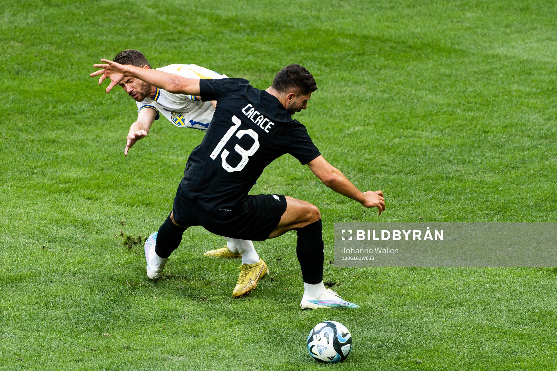 Marcus Rohdén of Sweden and Liberato Cacace of New Zealand