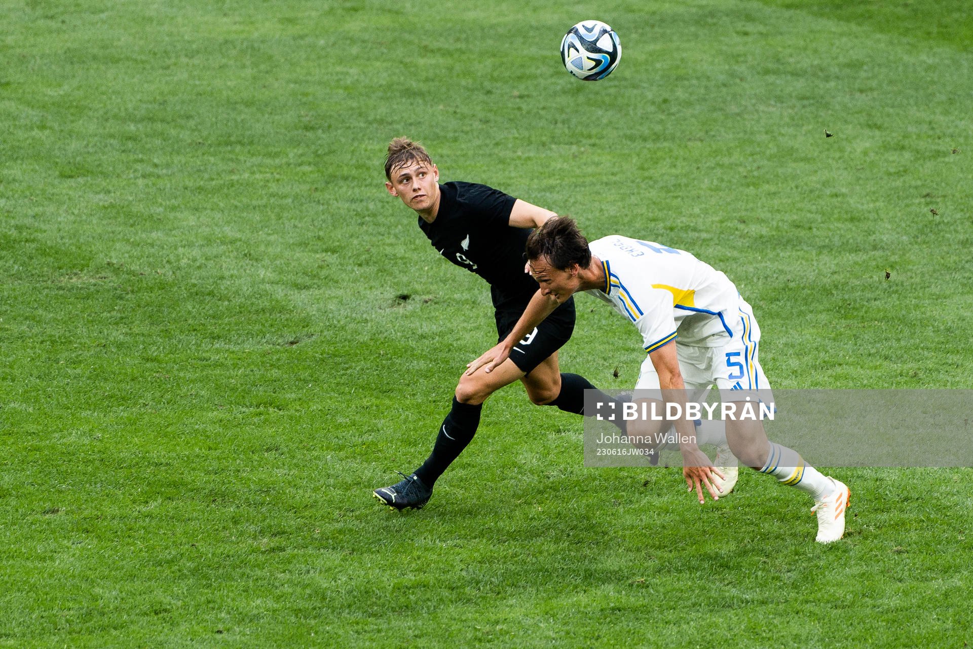 Ben Waine of New Zealand and Hjalmar Ekdal of Sweden