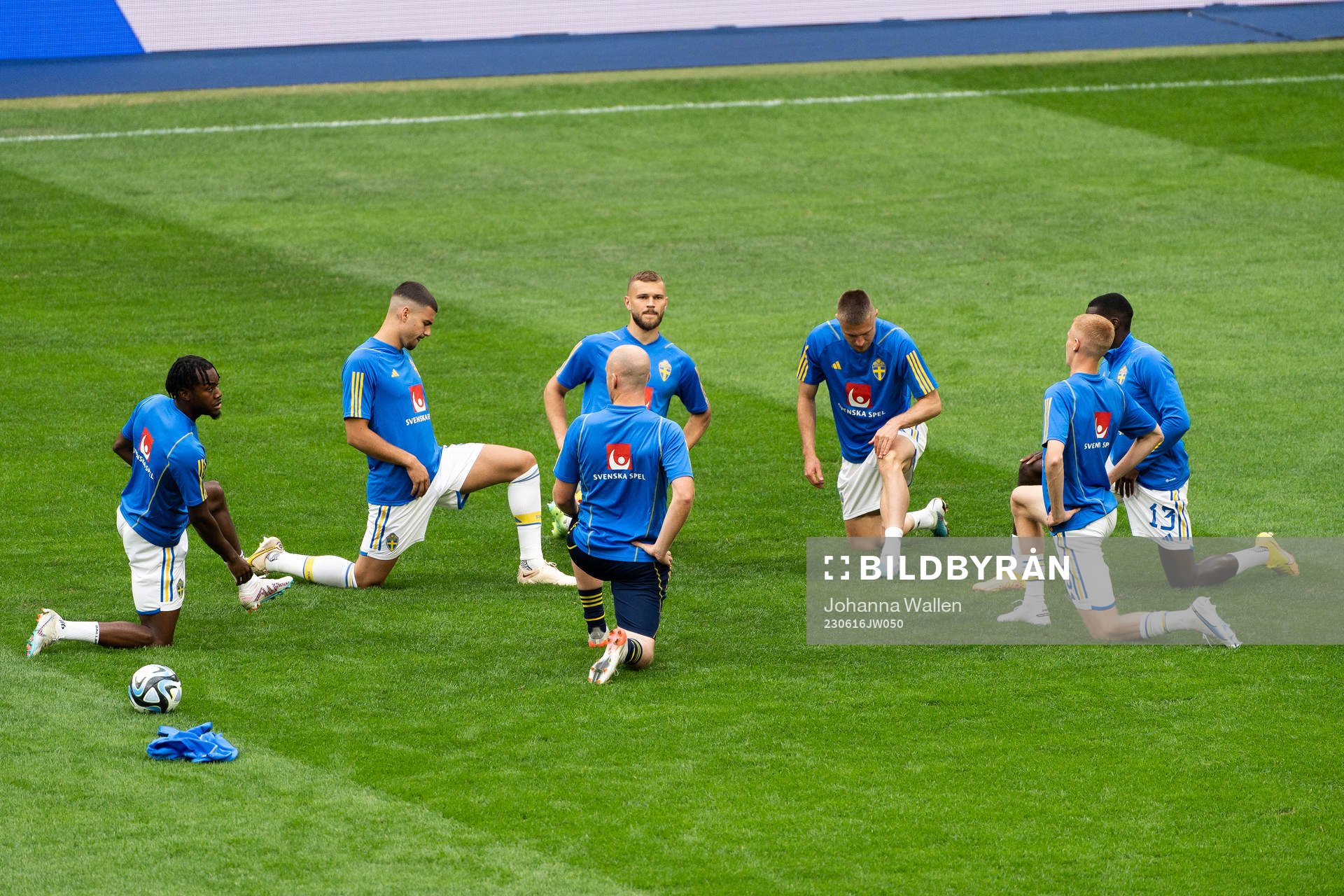 Players of Sweden