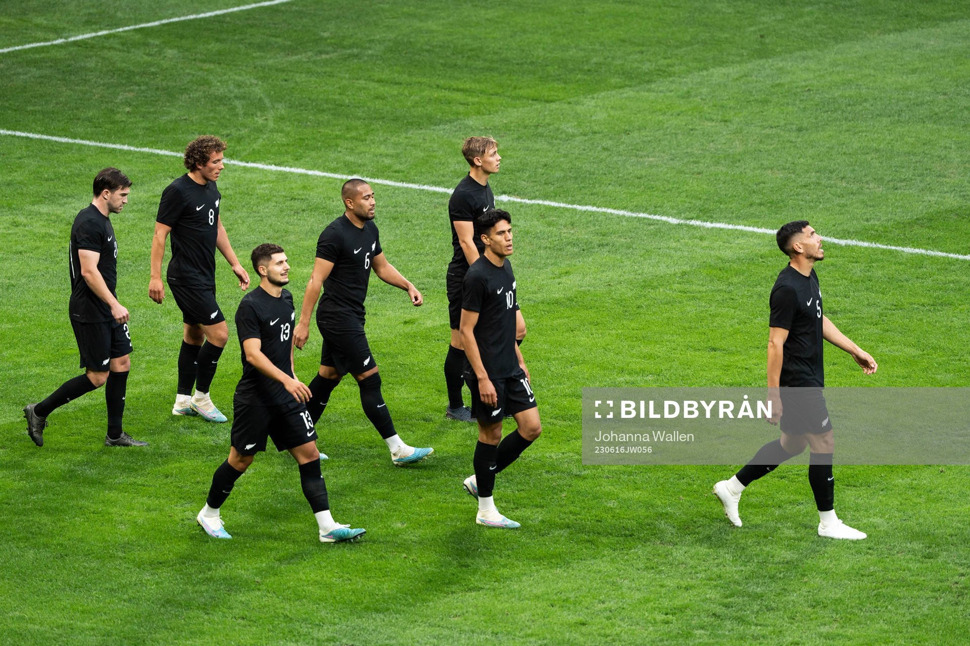 Players of of New Zealand celebrate